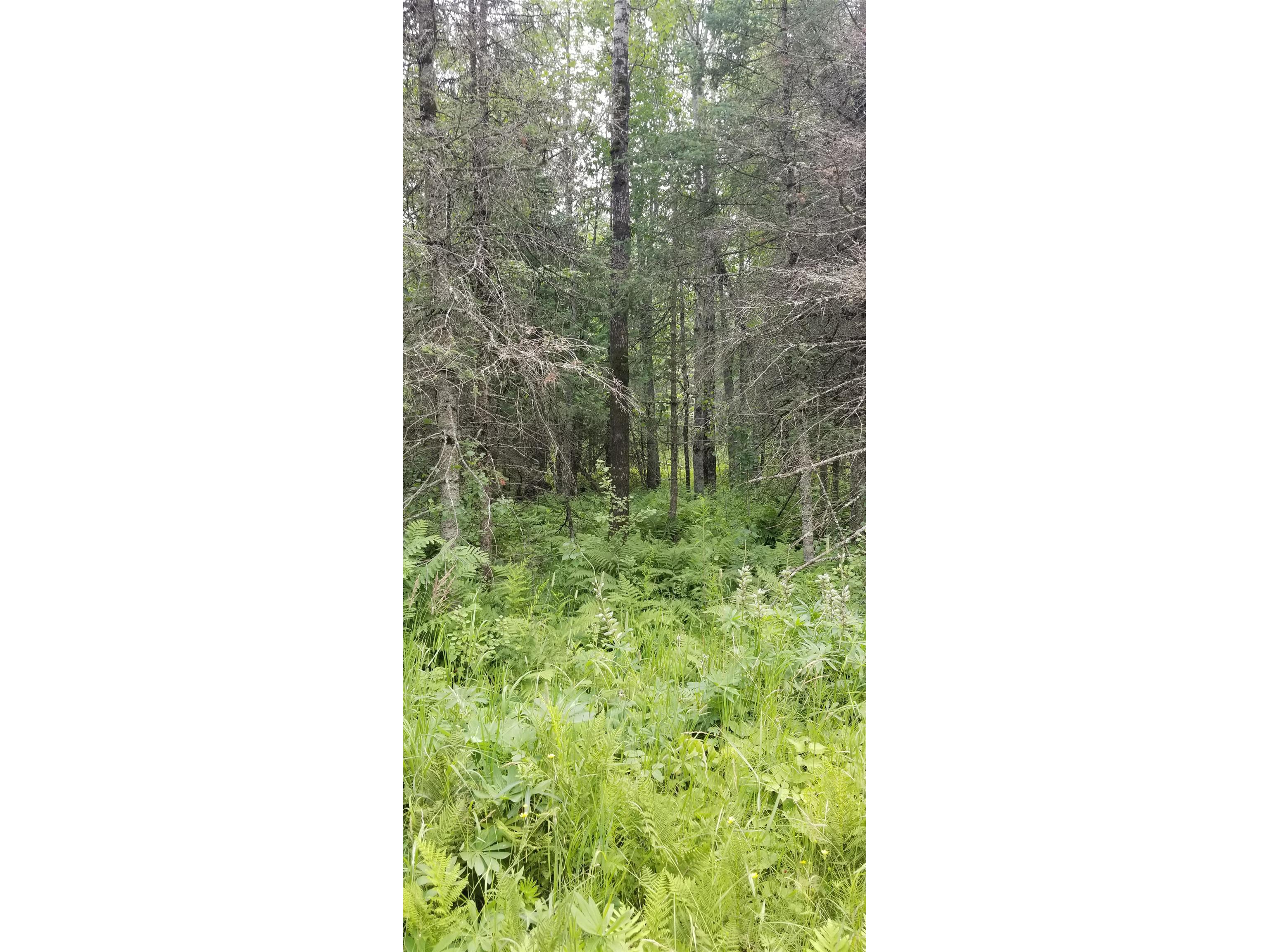 XXXX E Pioneer Jct Rd Duluth MN 55804 6122060 image3