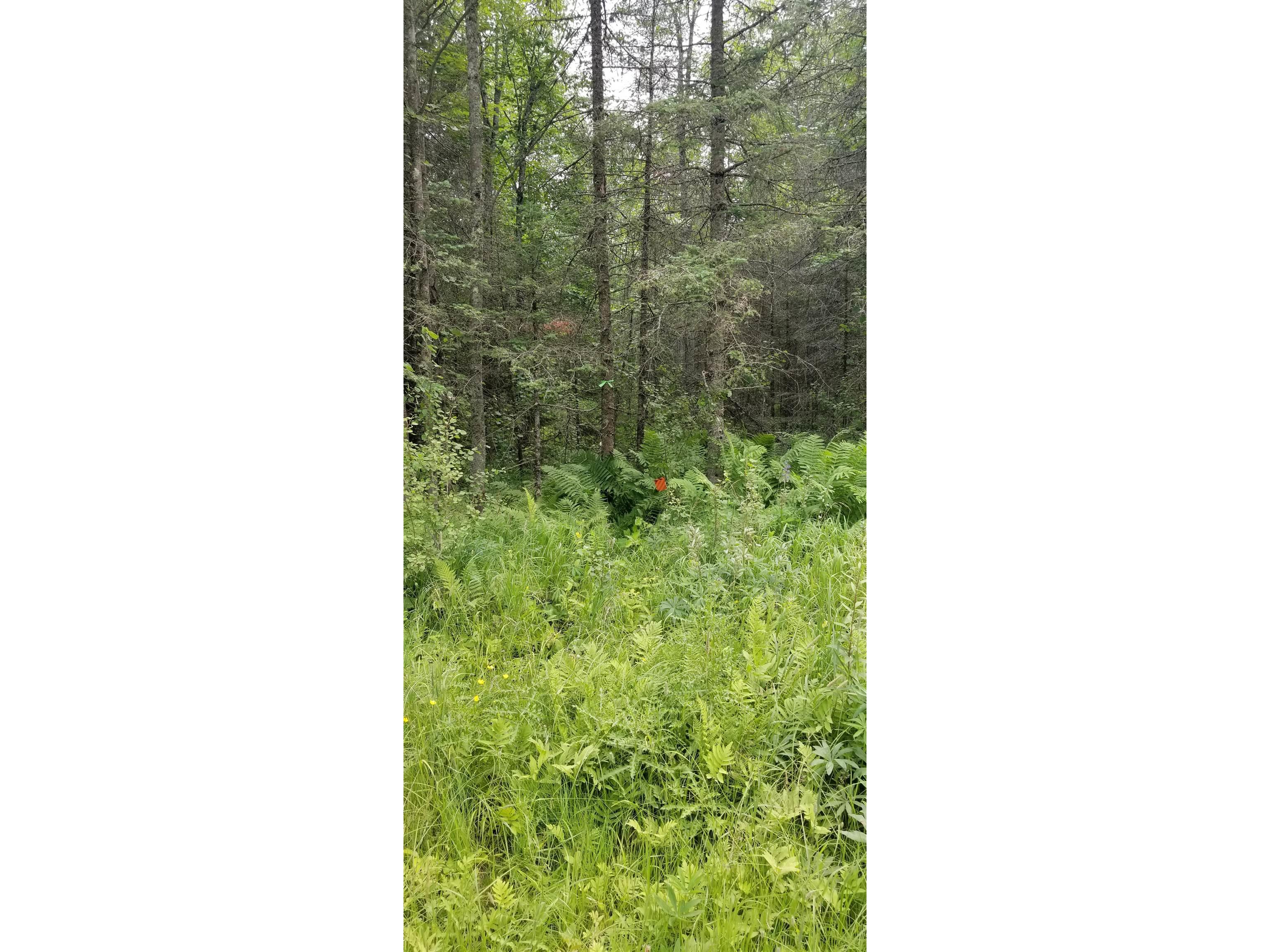 XXXX E Pioneer Jct Rd Duluth MN 55804 6122060 image5