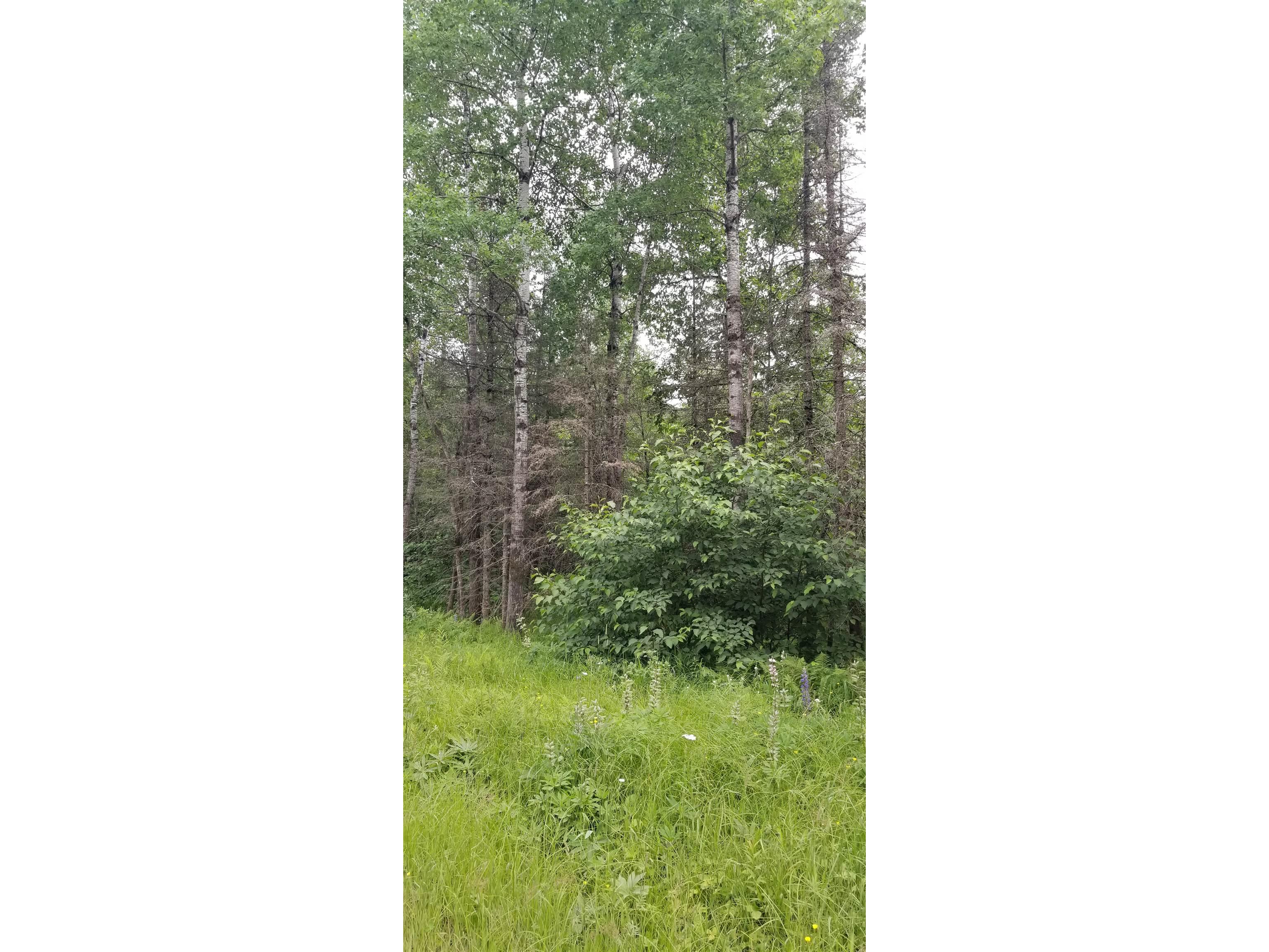 XXXX E Pioneer Jct Rd Duluth MN 55804 6122060 image6