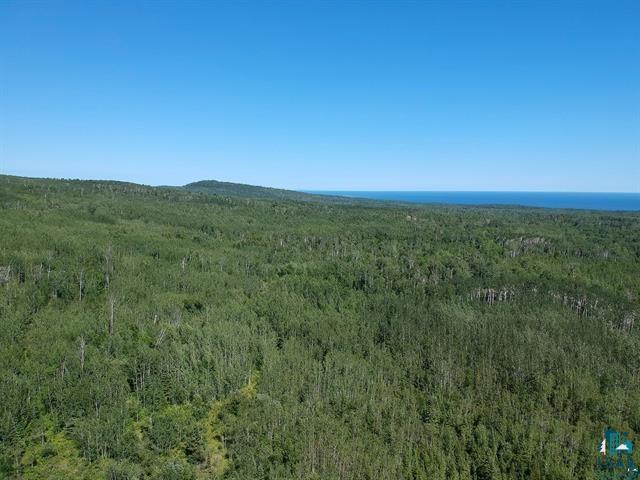 XXXX Flute Reed Rd Hovland MN 55606 6116631 image1