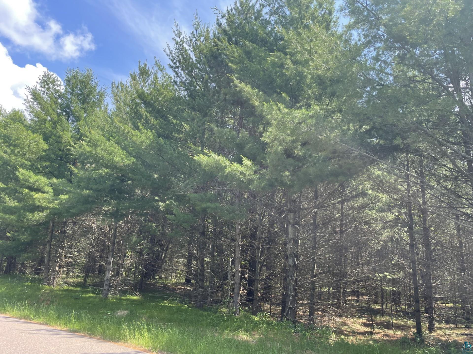 XXXX Kolling Rd Iron River WI 54847 6126545 image3