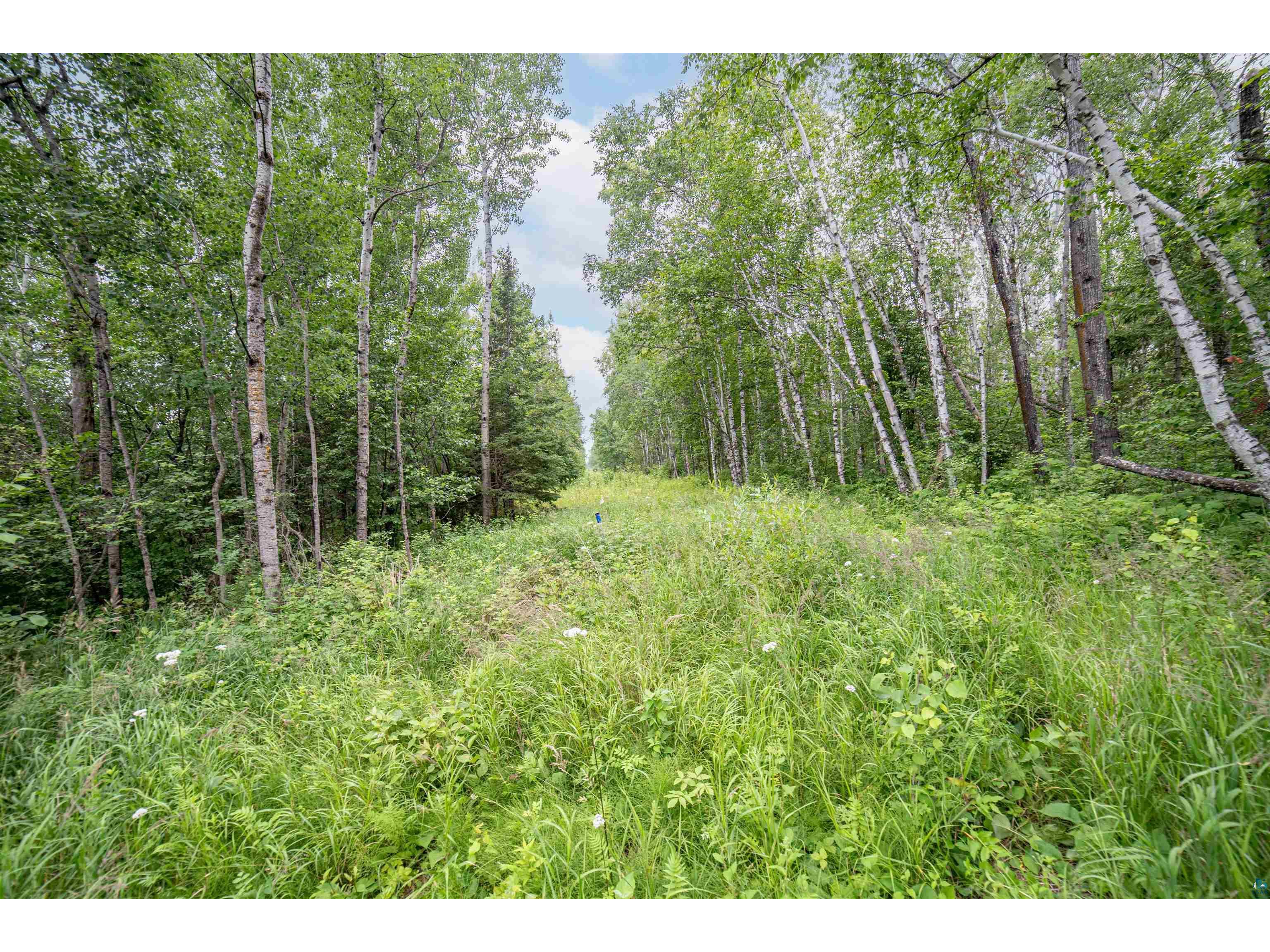 XXXX Lakewood Rd Duluth MN 55804 6120999 image9