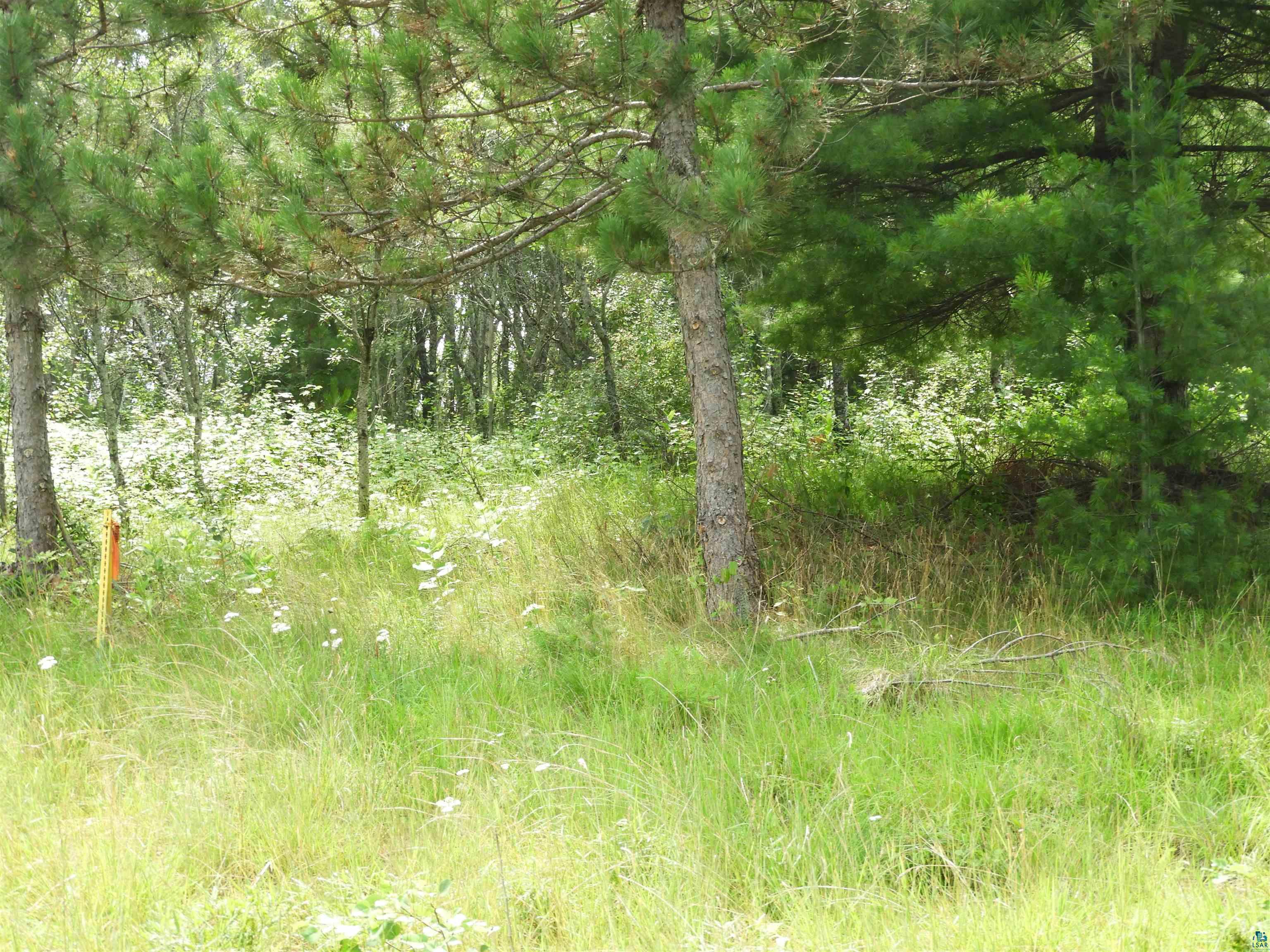 XXXX Moon Dr Iron River WI 54847 6120950 image6