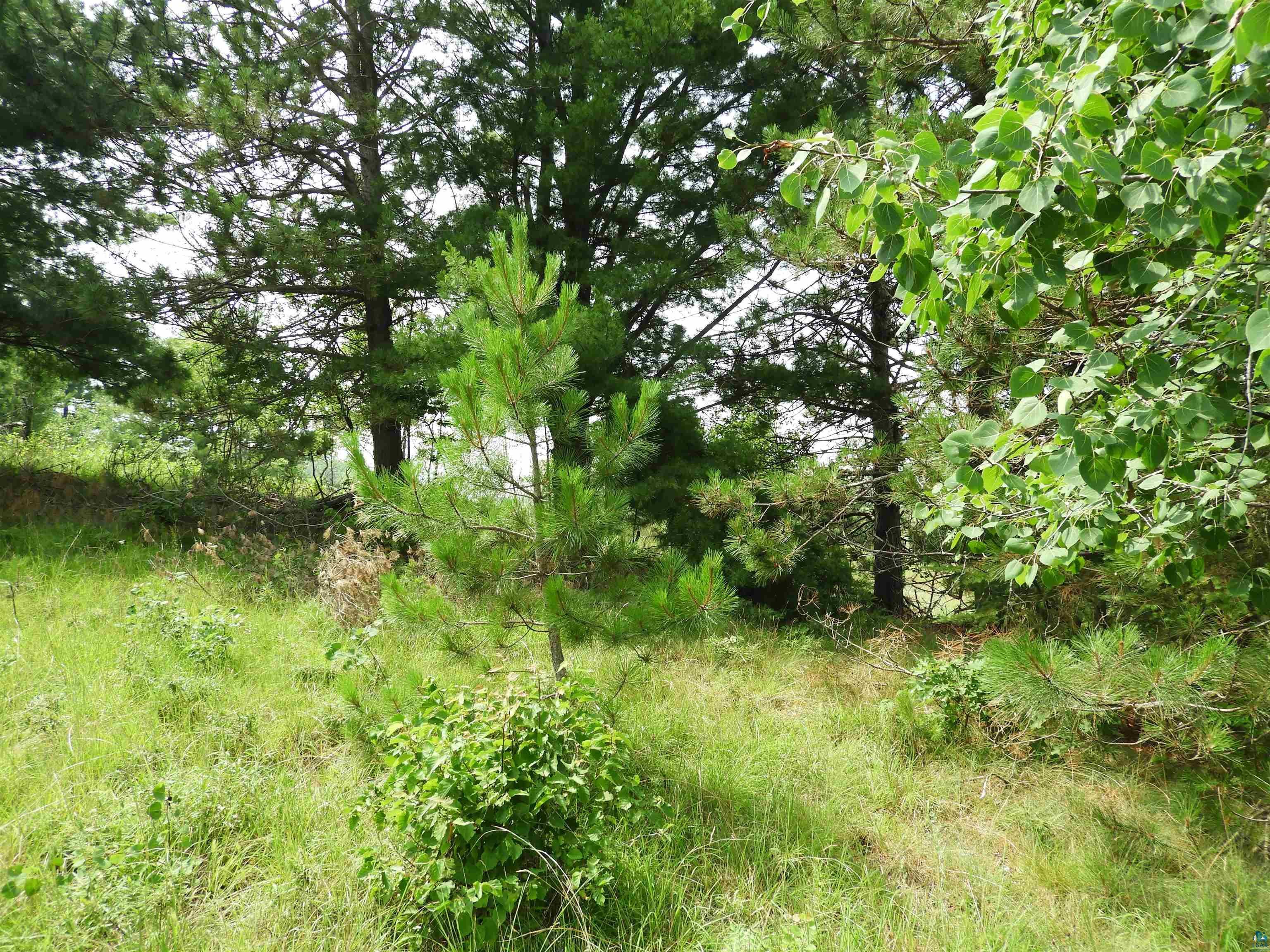 XXXX Moon Dr Iron River WI 54847 6120950 image7