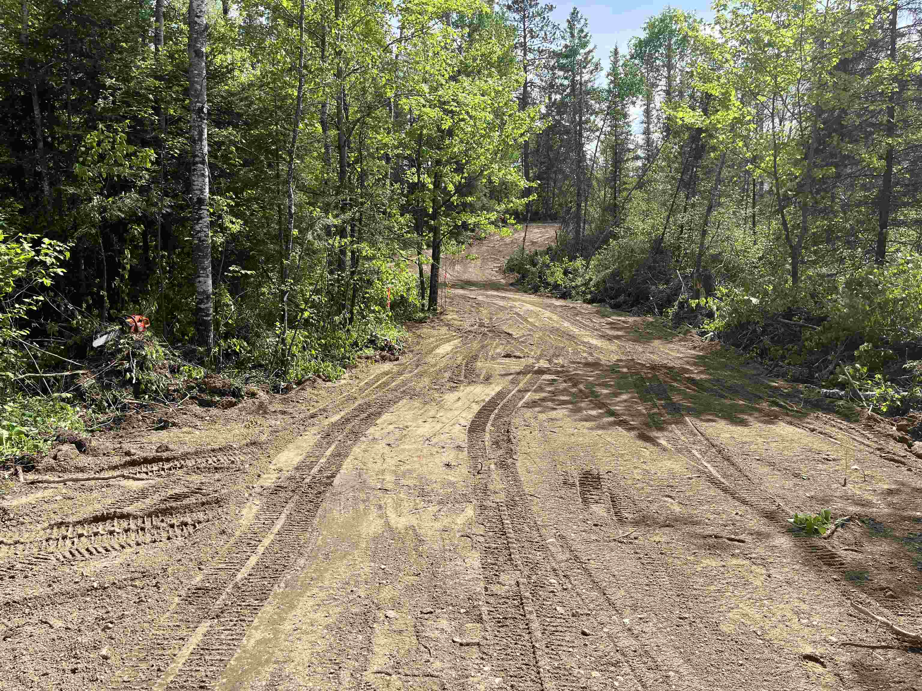 XXXX Murray Forest Rd Ely MN 55731 - Five 6122985 image6