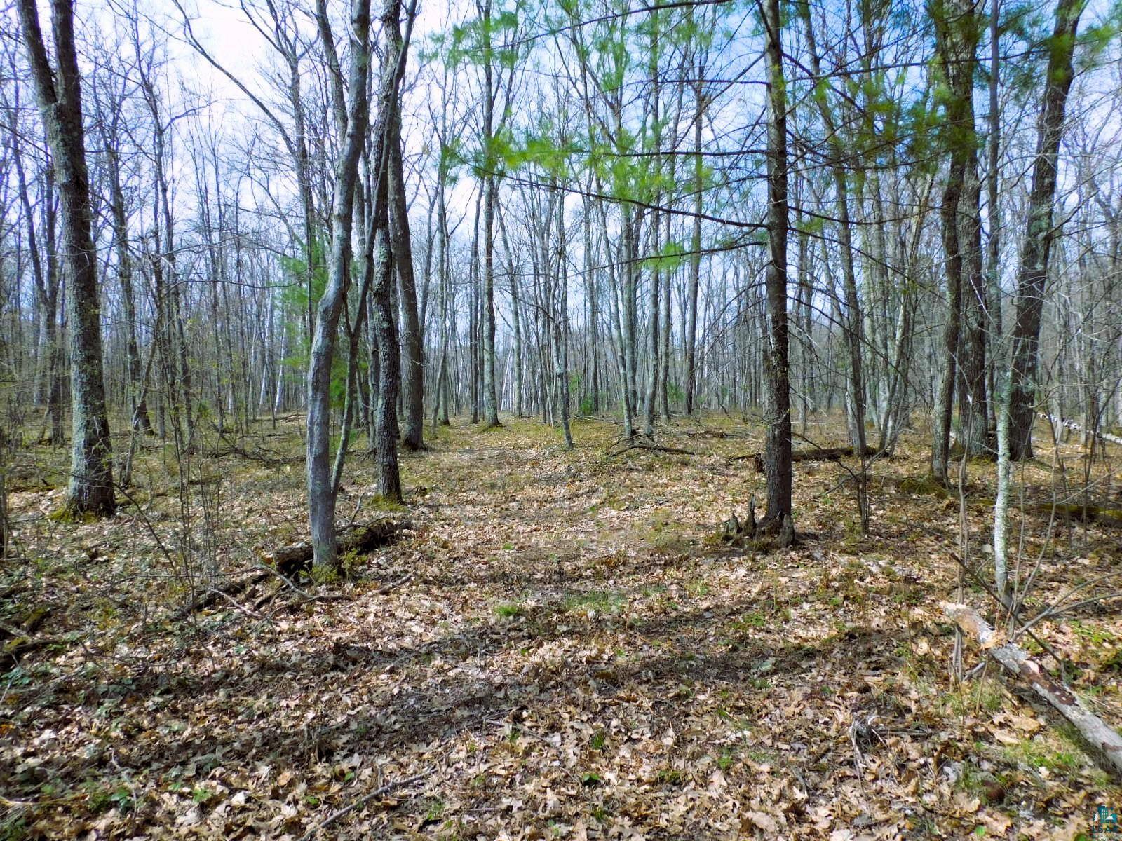 XXXX Polkoski Way Iron River WI 54847 6125201 image17