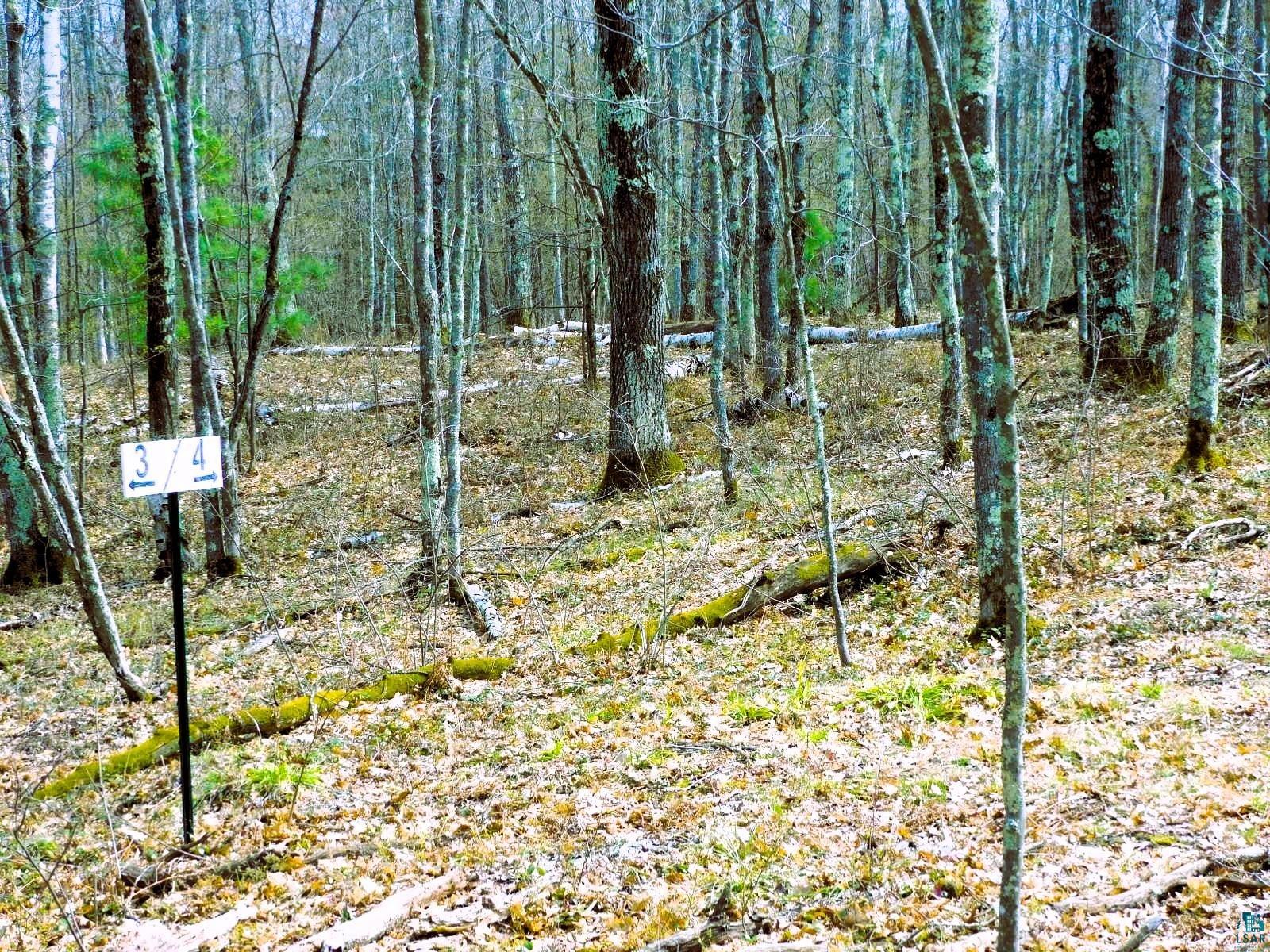 XXXX Polkoski Way Iron River WI 54847 6125201 image3