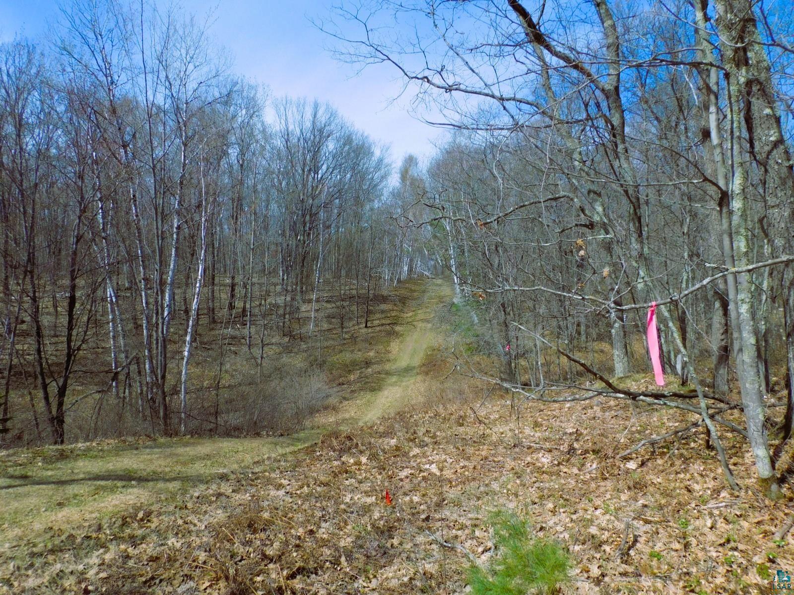XXXX Polkoski Way Iron River WI 54847 6125201 image7