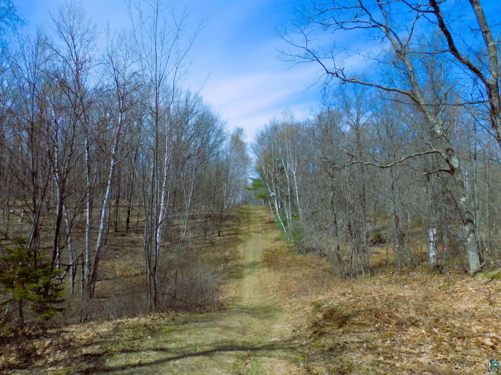 XXXX Polkoski Way Iron River WI 54847 6125201 image8