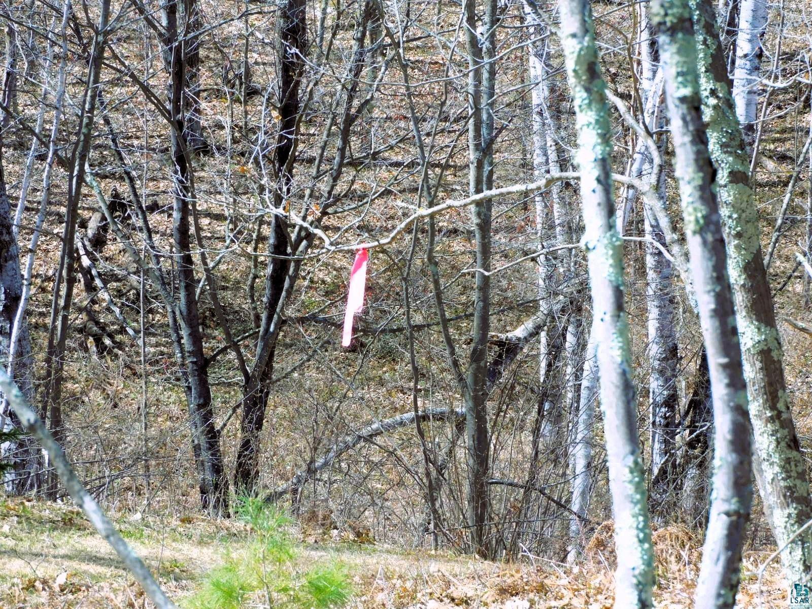 XXXX Polkoski Way Iron River WI 54847 6125203 image12