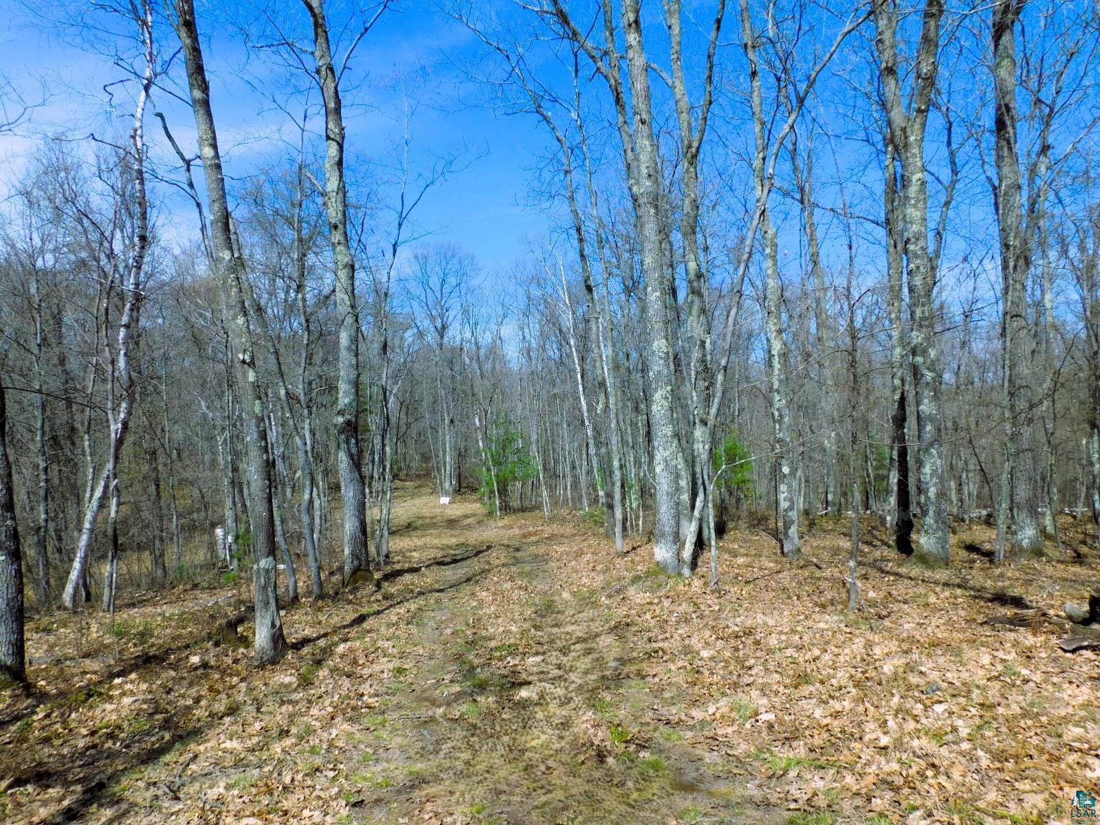 XXXX Polkoski Way Iron River WI 54847 6125203 image16