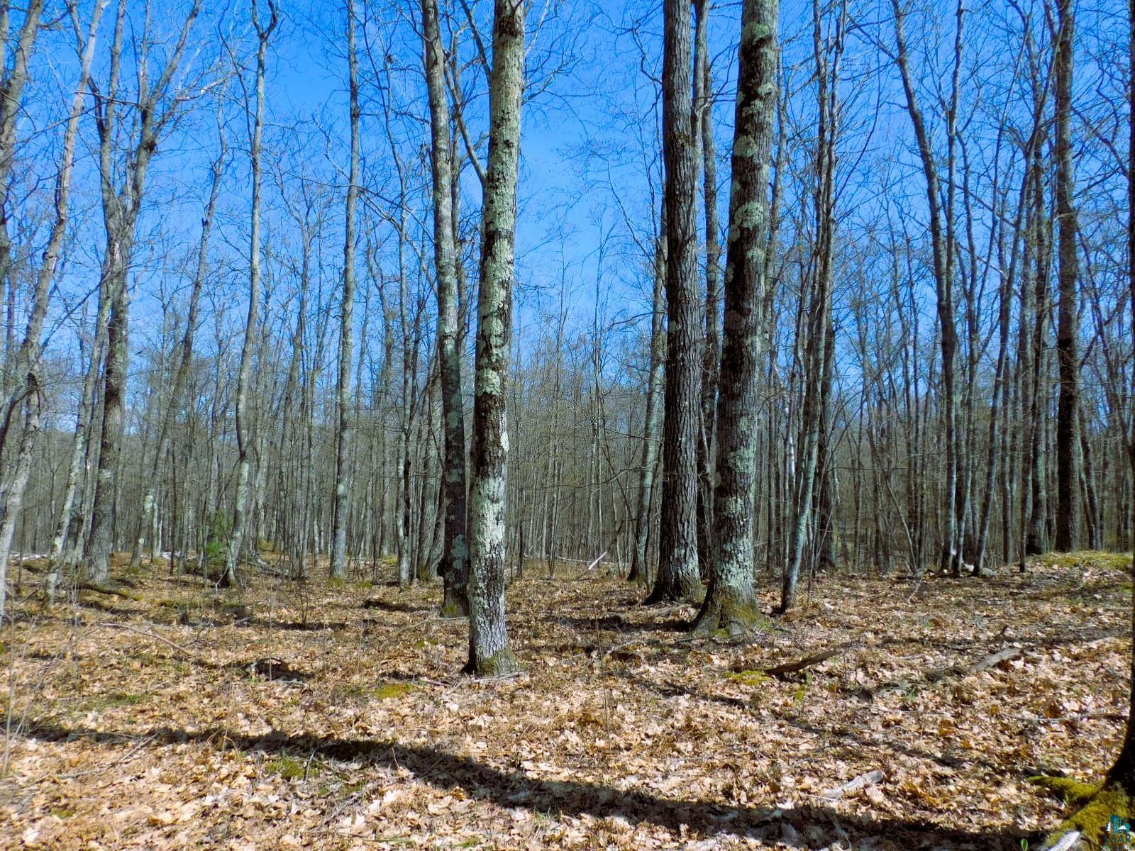 XXXX Polkoski Way Iron River WI 54847 6125203 image6