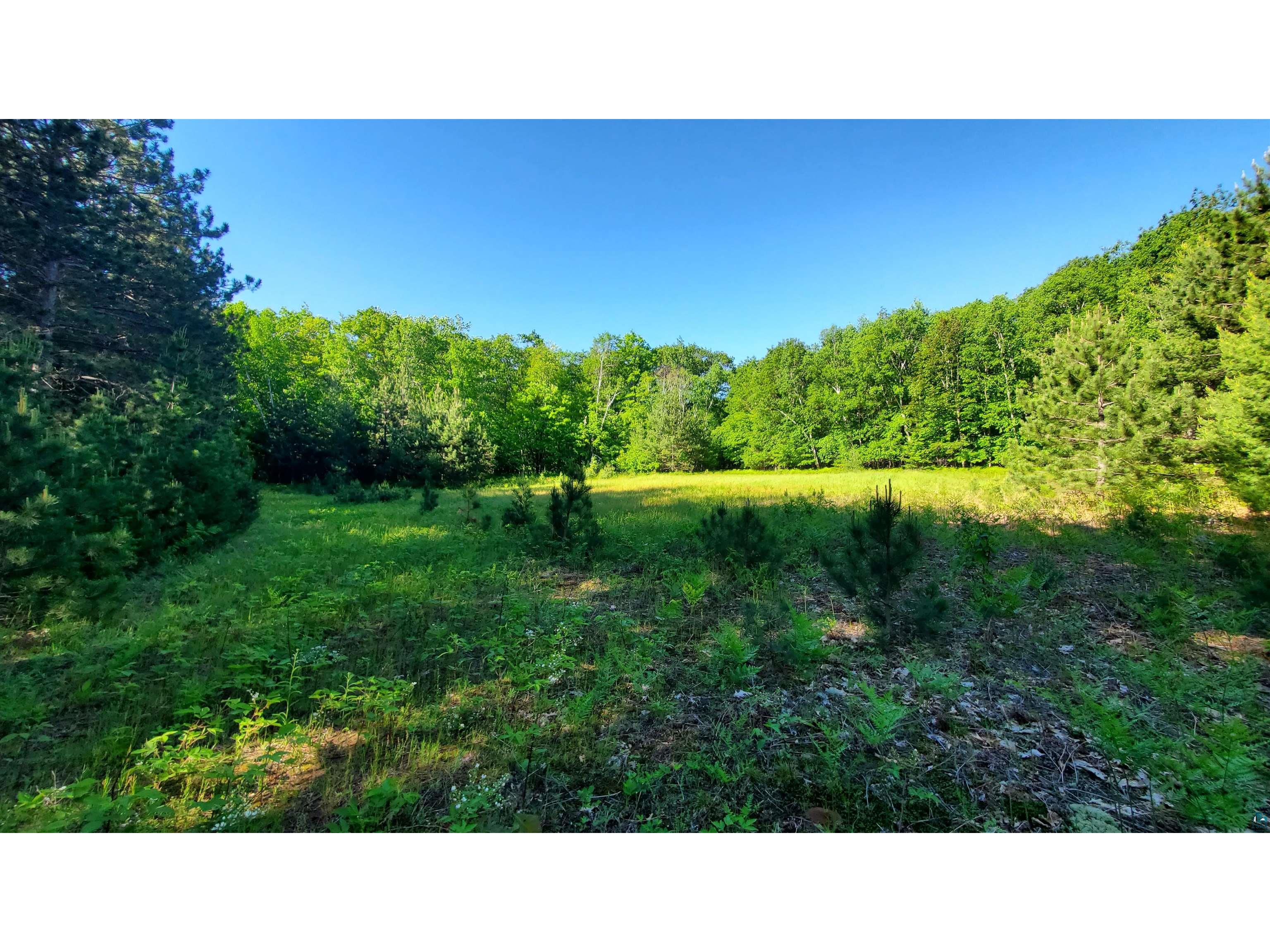 XXXX Rankinson Rd, Iron River, WI, 54847 MLS 6114151 Edina Realty