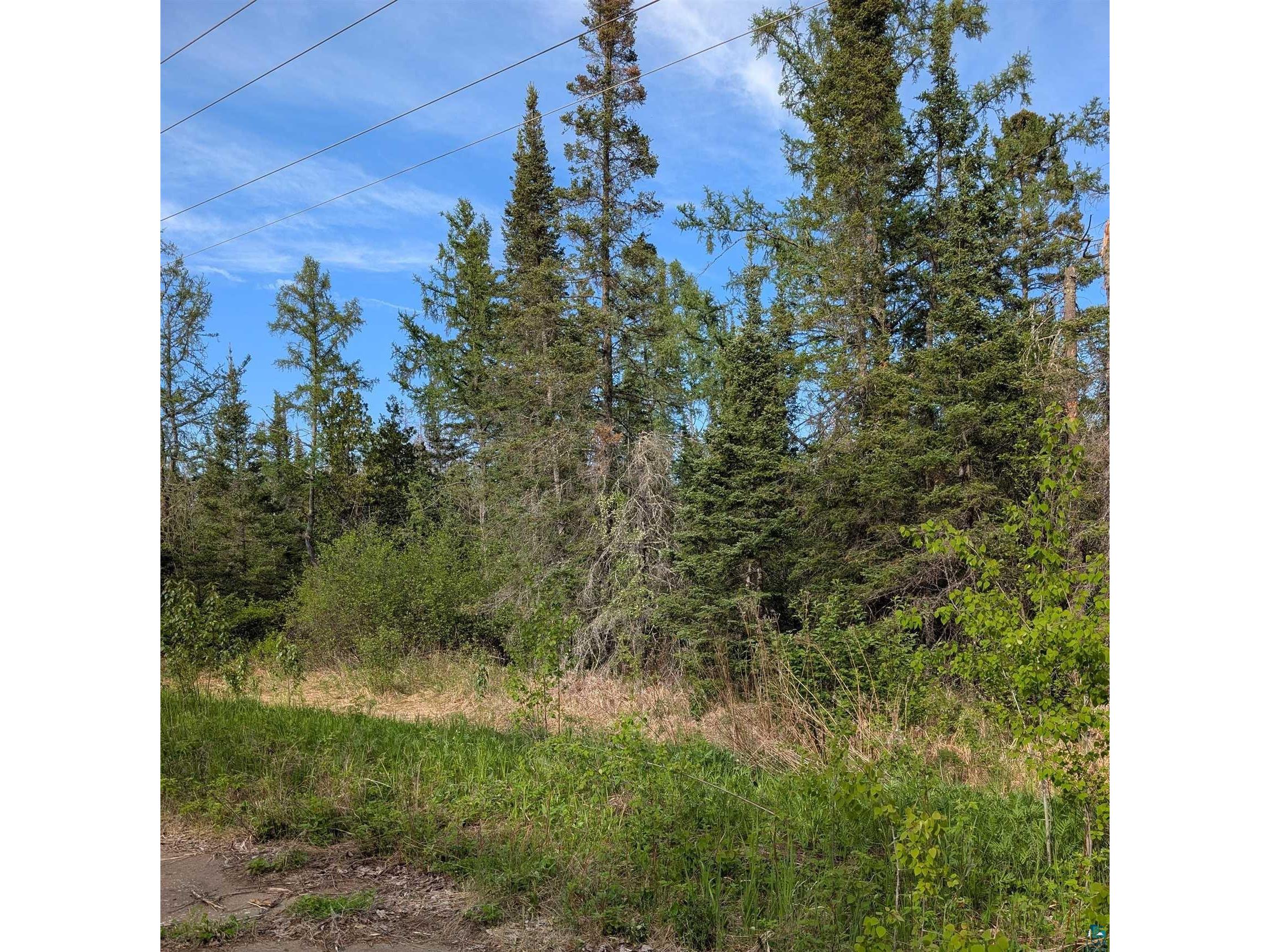 XXXX Rice Lake Rd Duluth MN 55803 6125681 image2
