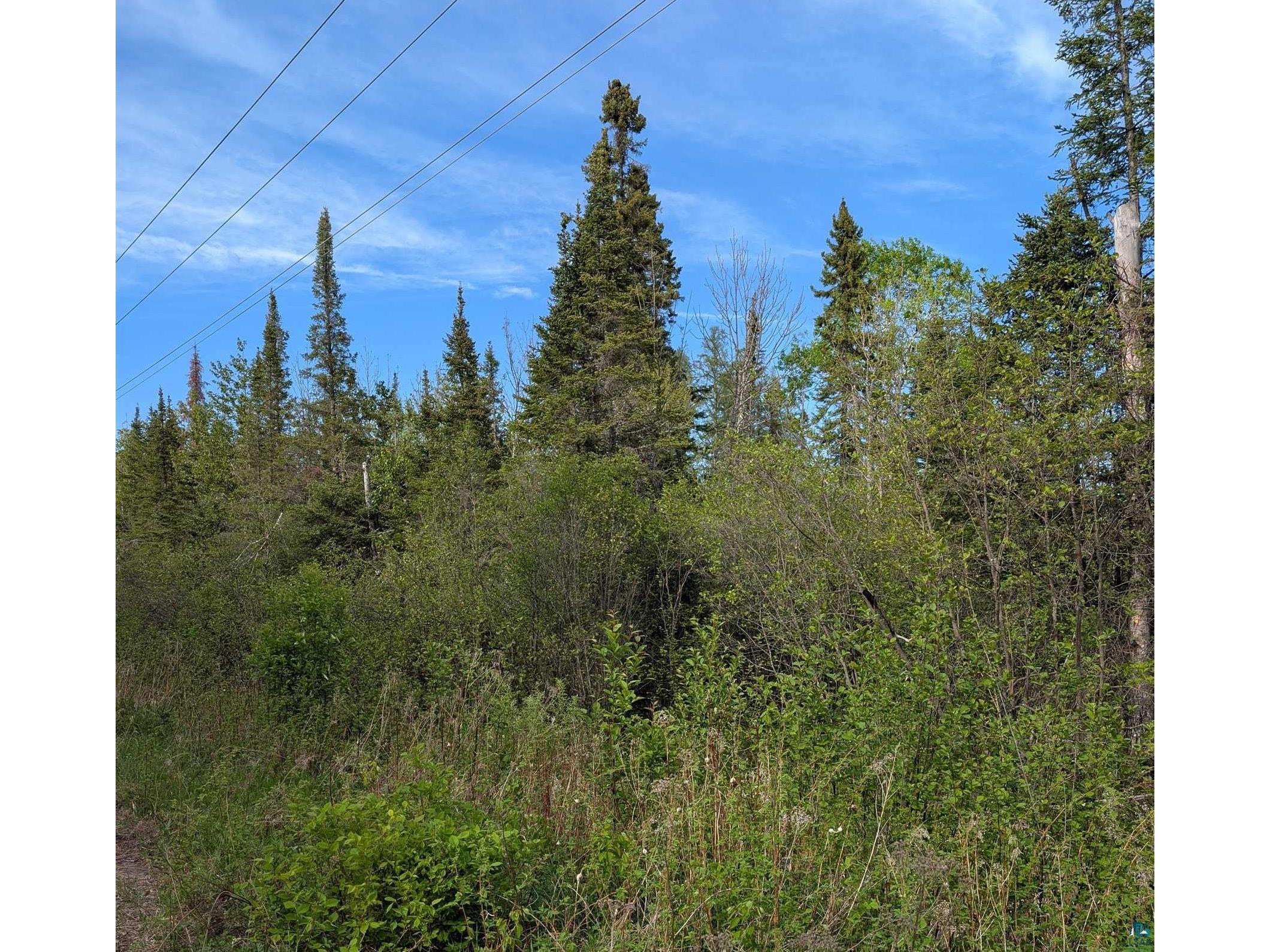 XXXX Rice Lake Rd Duluth MN 55803 6125681 image3
