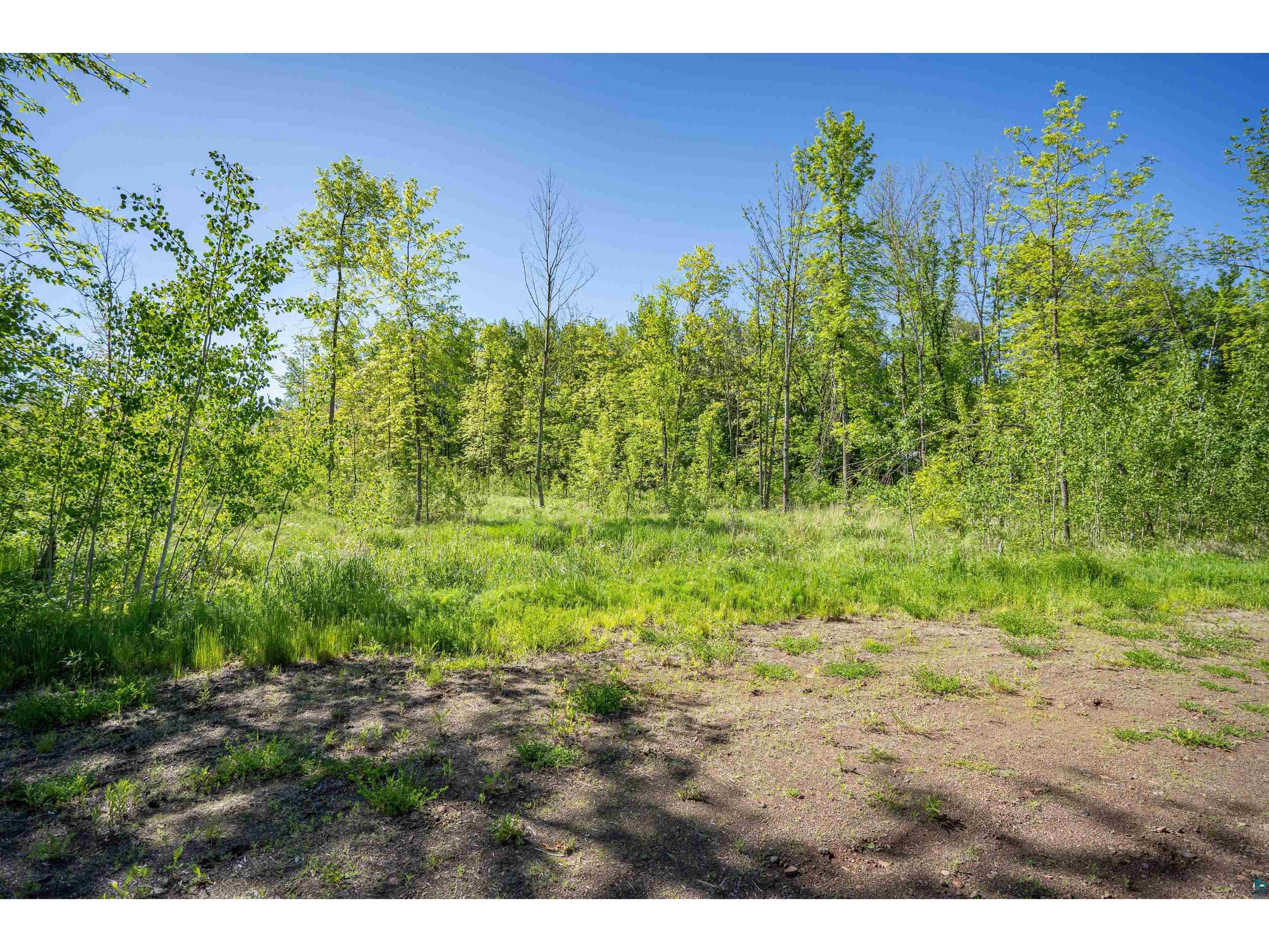 XXXX Rycor Lane Duluth MN 55811 6118146 image11