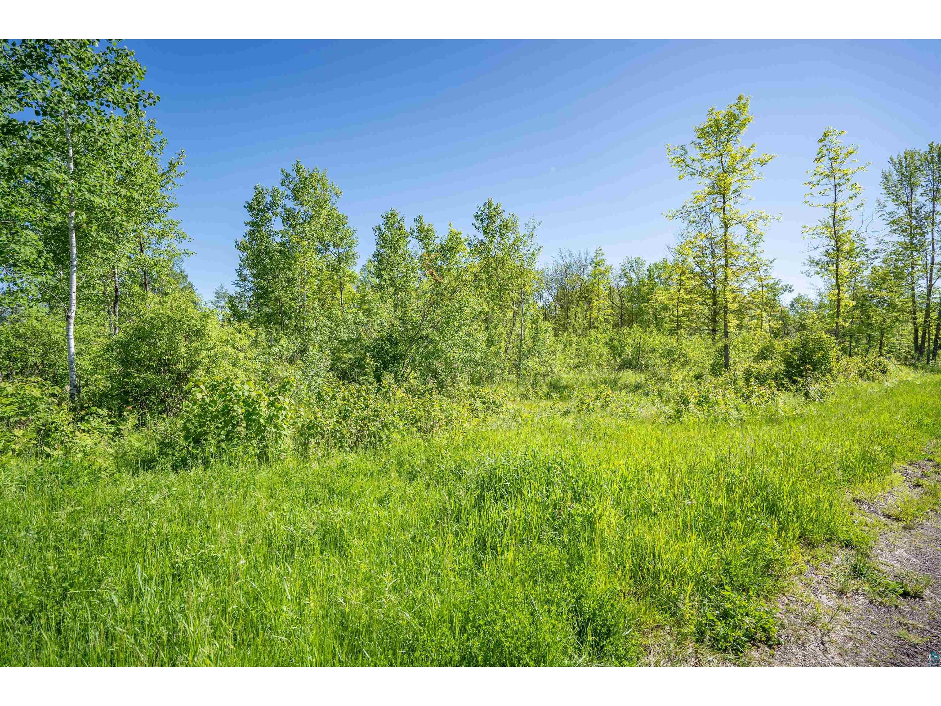 XXXX Rycor Lane Duluth MN 55811 6118146 image13