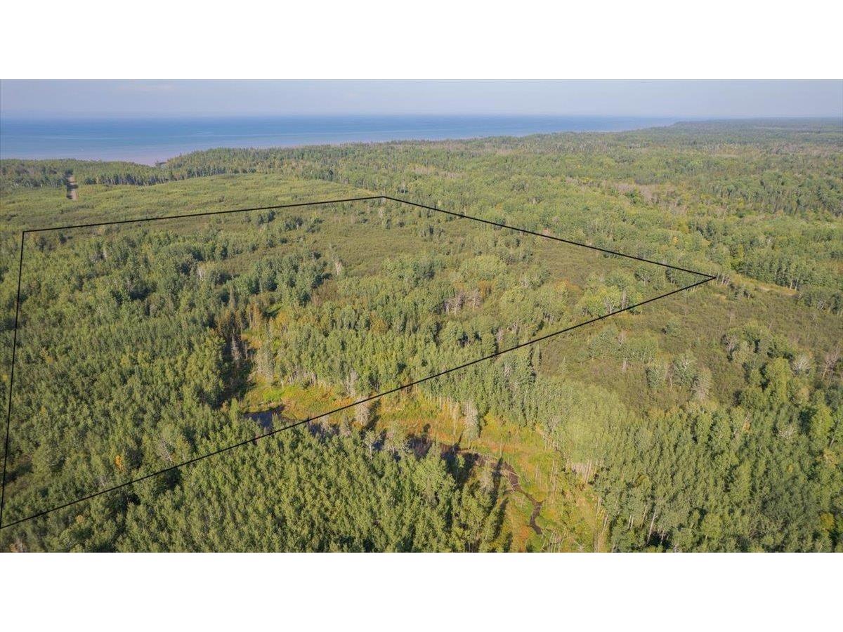 XXXX S Middle River Rd Lakeside WI 54874 6121998 image2