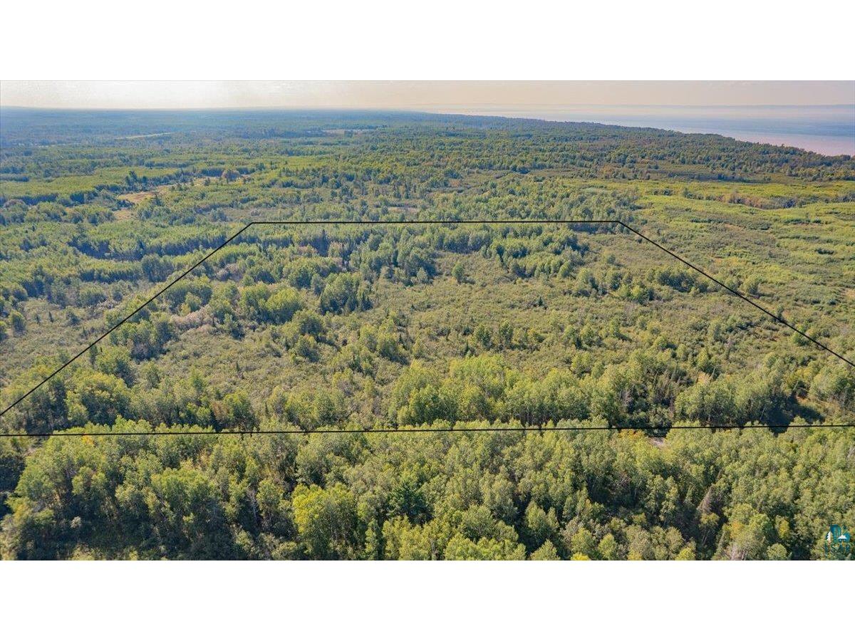 XXXX S Middle River Rd Lakeside WI 54874 6124290 image3