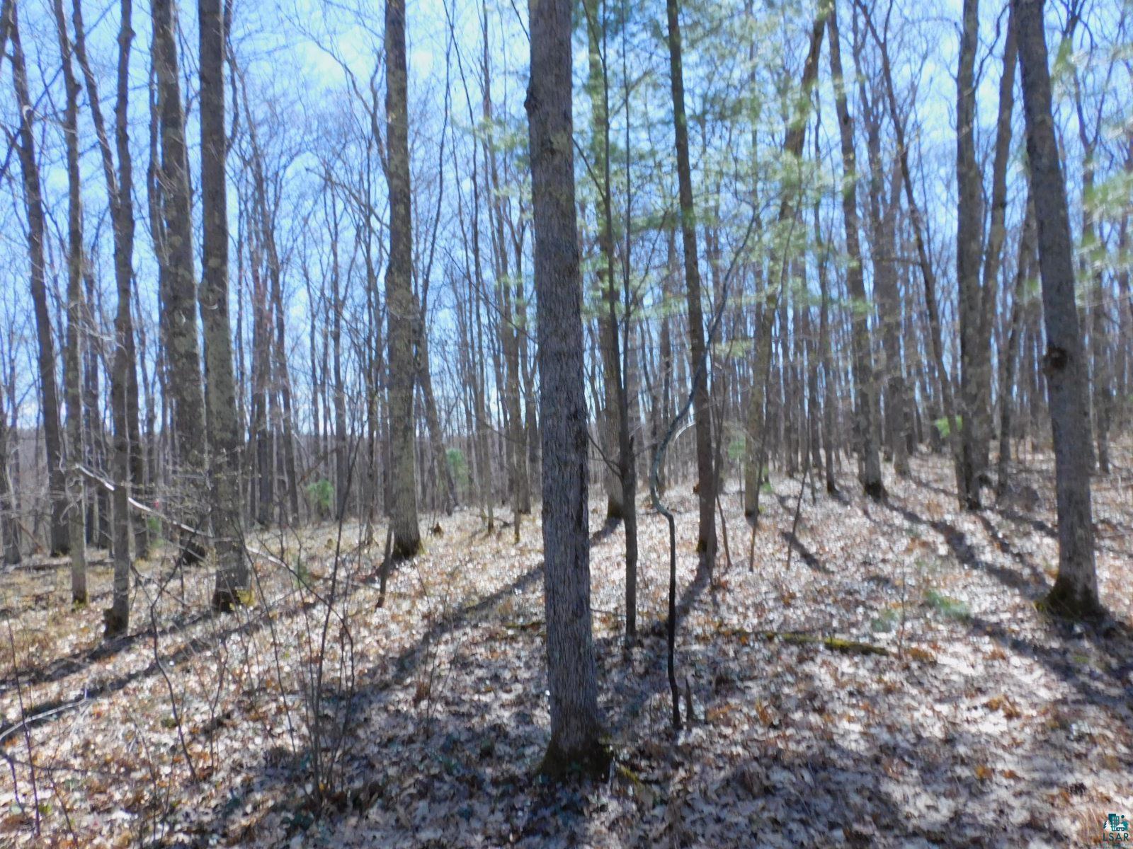 XXXX Sajdak Rd Iron River WI 54847 6125200 image13