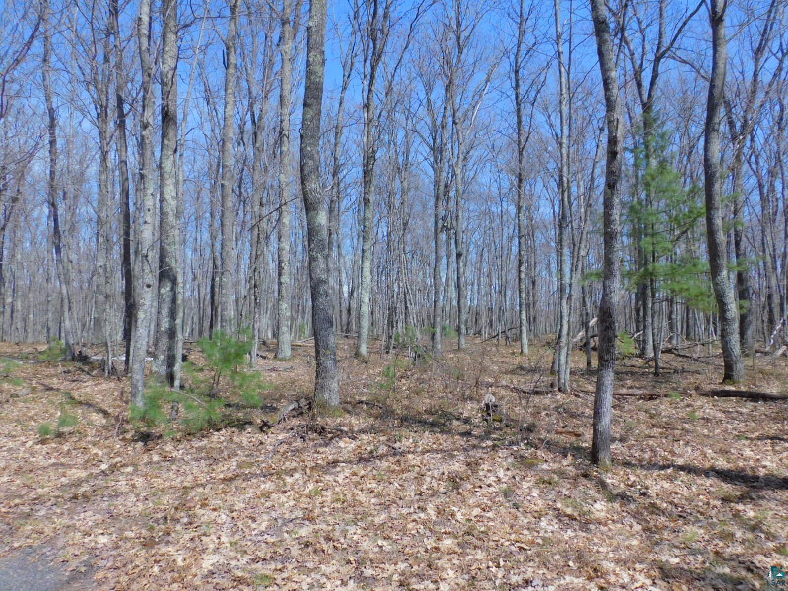 XXXX Sajdak Rd Iron River WI 54847 6125200 image4