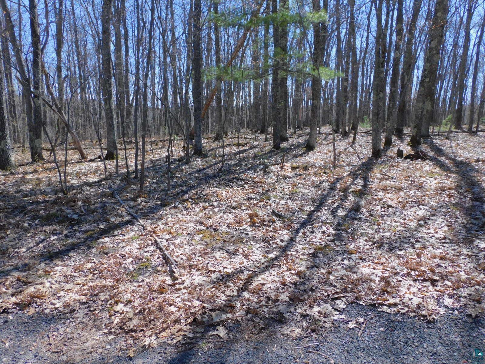 XXXX Sajdak Rd Iron River WI 54847 6125200 image6