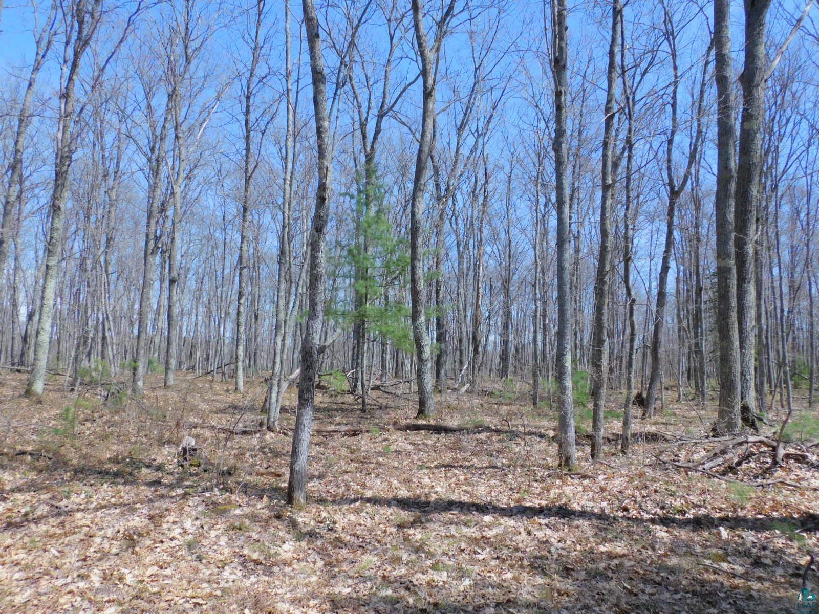 XXXX Sajdak Rd Iron River WI 54847 6125200 image7