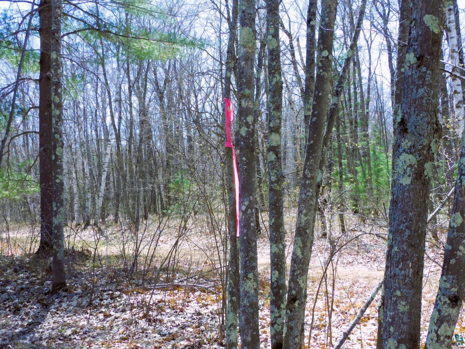 XXXX Sajdak Rd Iron River WI 54847 6125200 image9