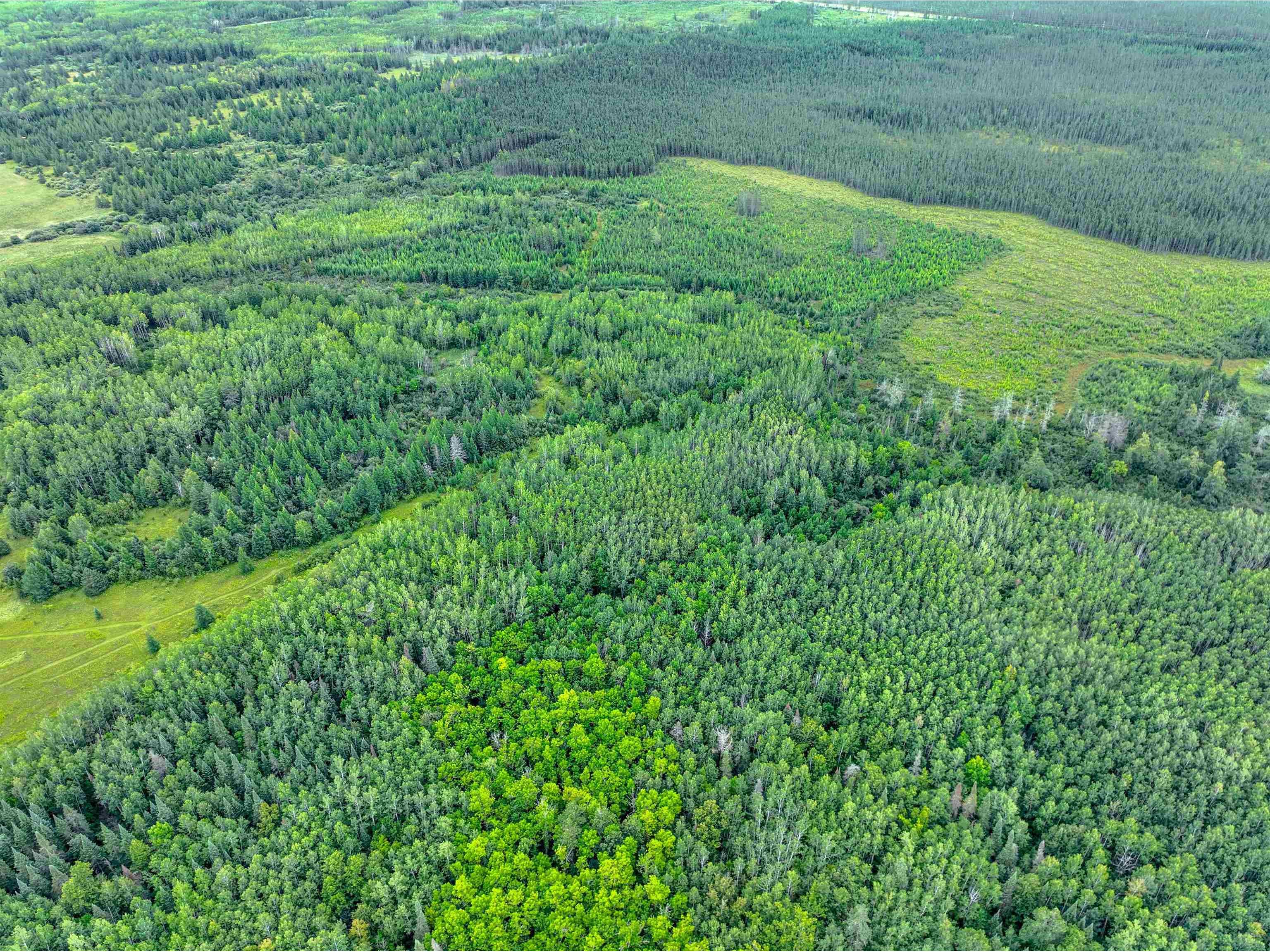 XXXX W Riek Rd Cook MN 55723 6121546 image10