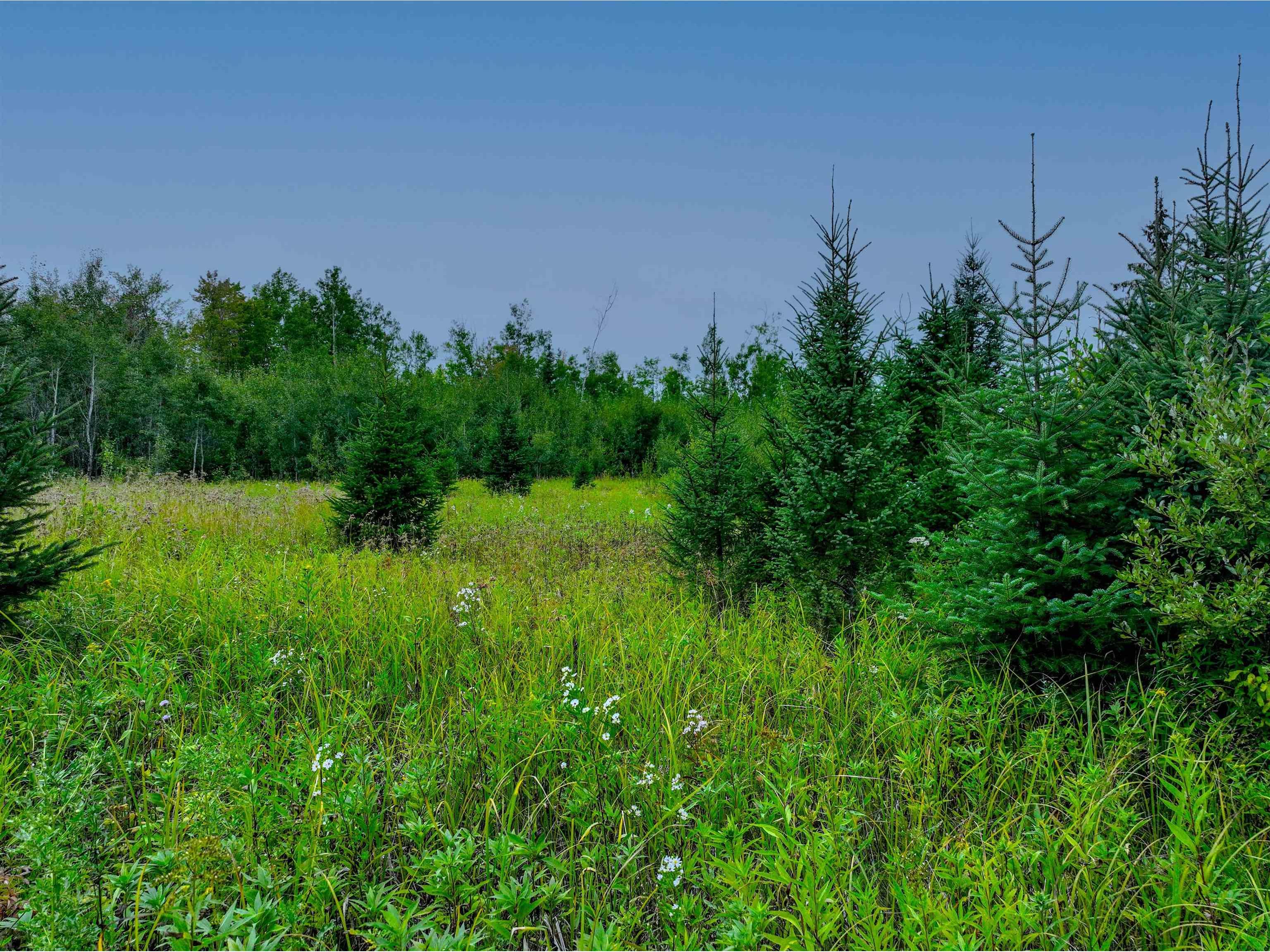 XXXX W Riek Rd Cook MN 55723 6121546 image12