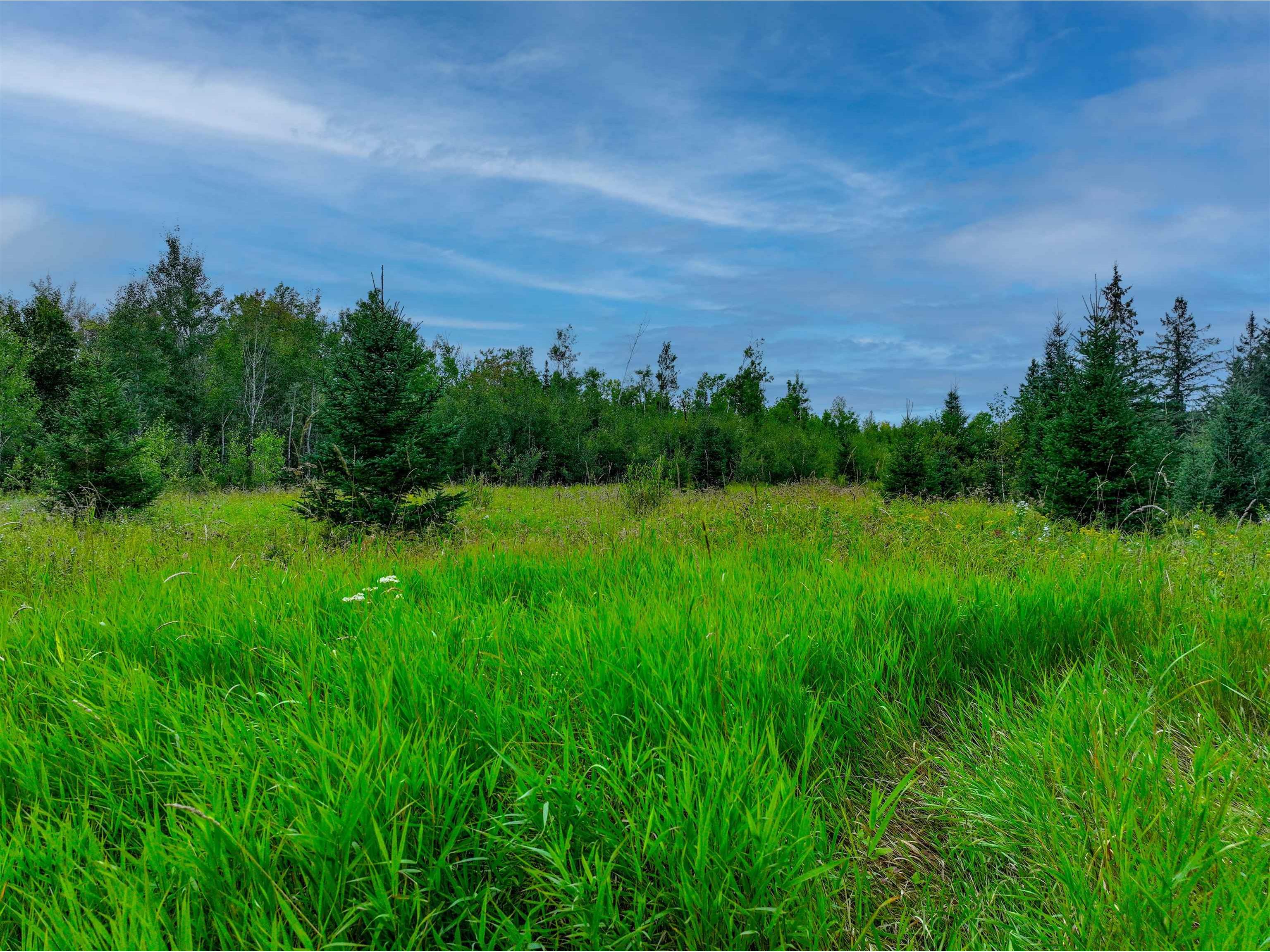 XXXX W Riek Rd Cook MN 55723 6121546 image13