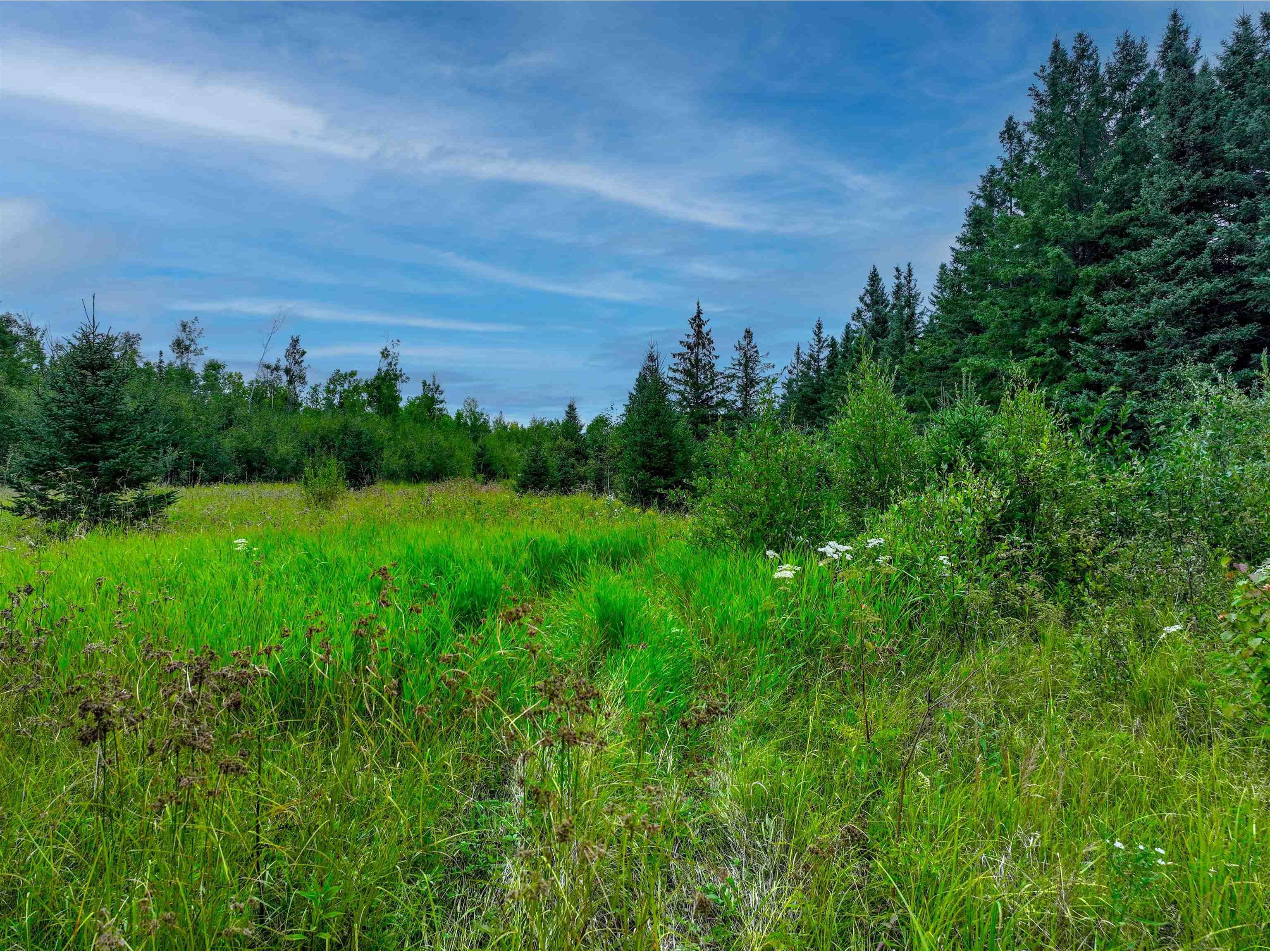 XXXX W Riek Rd Cook MN 55723 6121546 image15