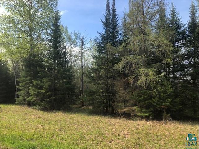 XXXX Wahlsten Rd Embarrass MN 55732 6107283 image1