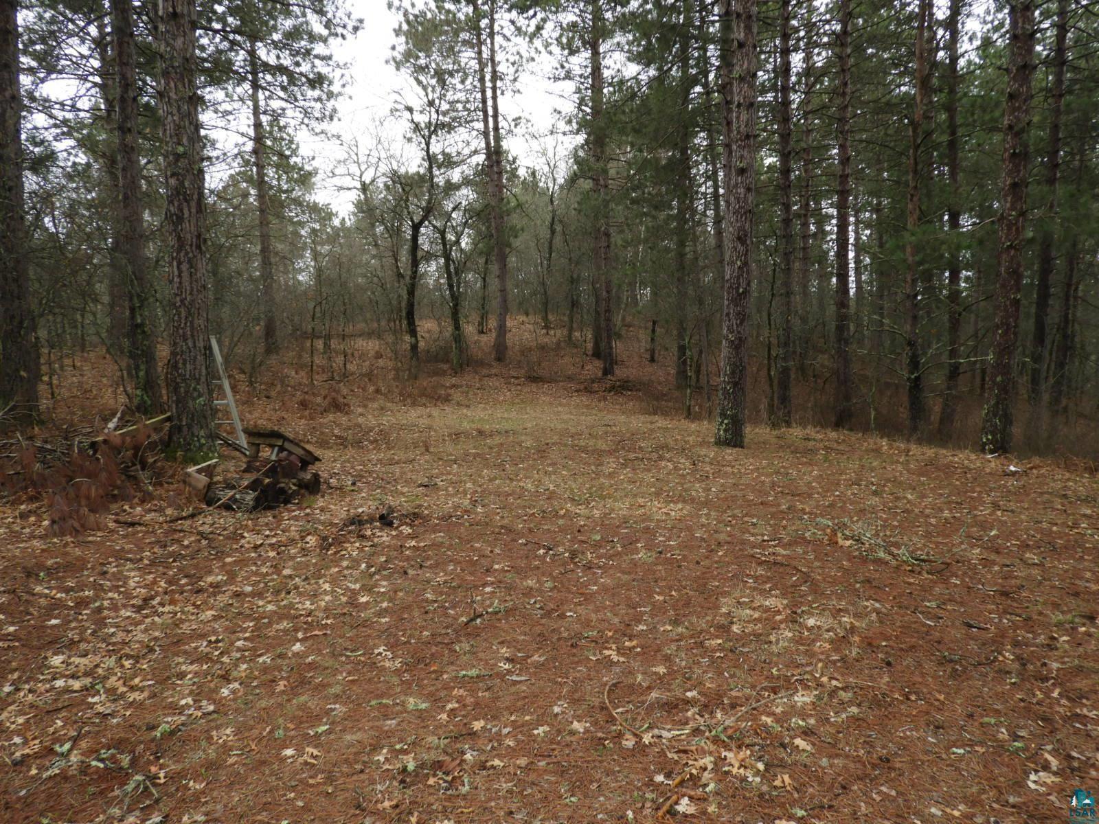 XXXX Wilderness Ct Barnes WI 54873 6125280 image1