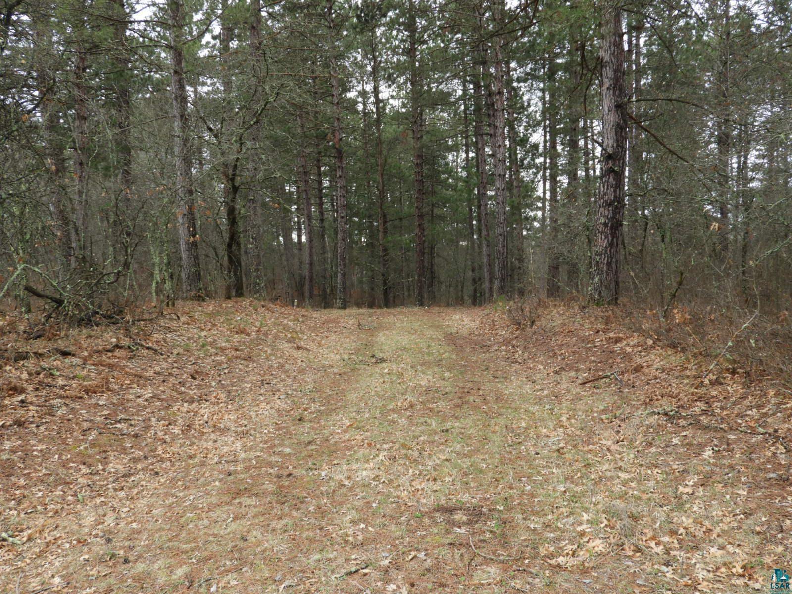XXXX Wilderness Ct Barnes WI 54873 6125280 image3