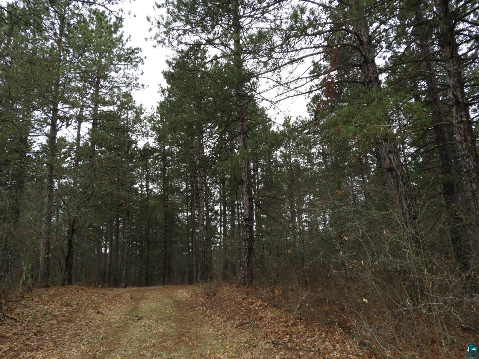 XXXX Wilderness Ct Barnes WI 54873 6125280 image4