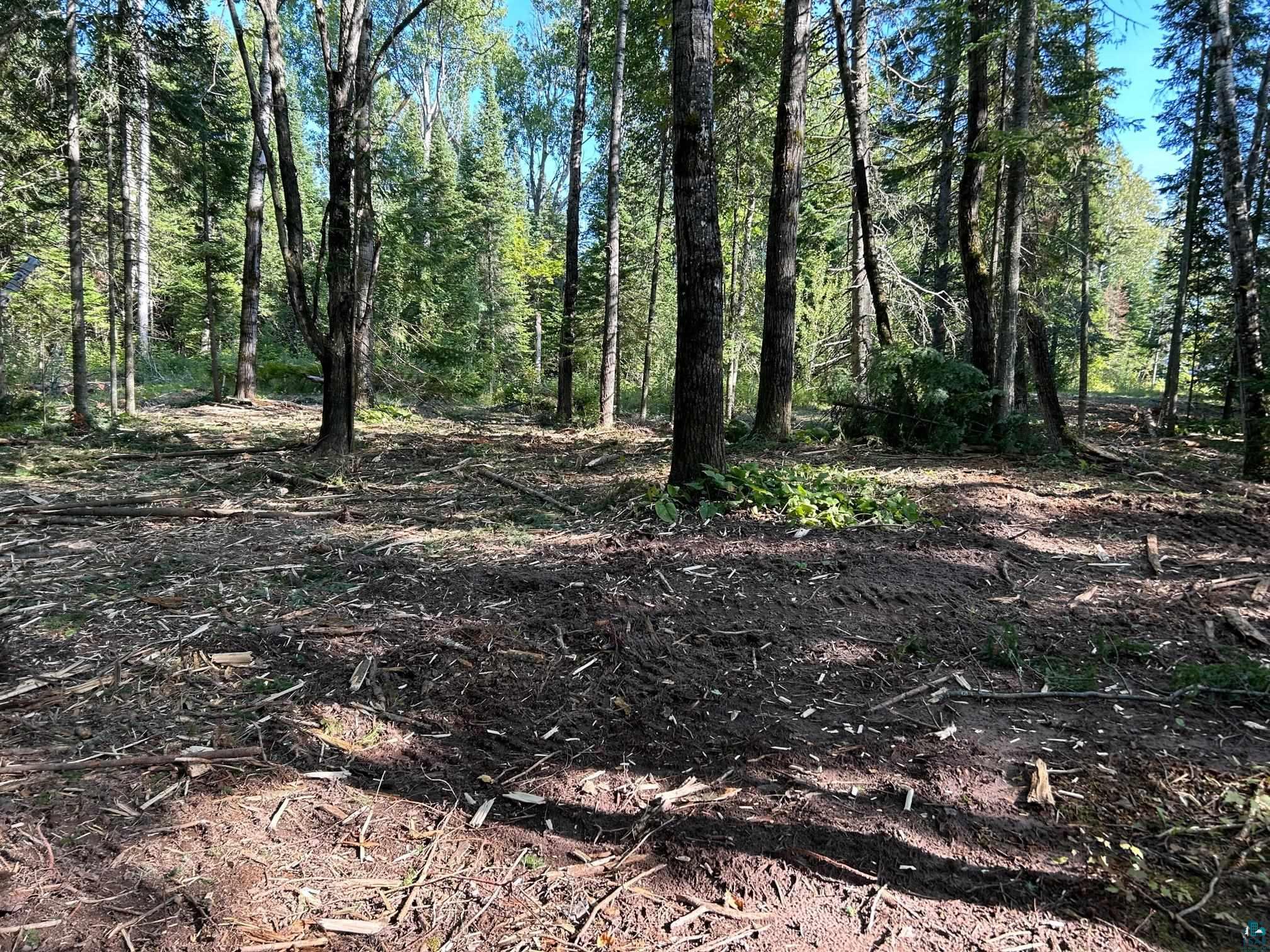 XXXXX Sawgrass Rd, Cornucopia, WI, 54827 MLS 6109179 Edina Realty