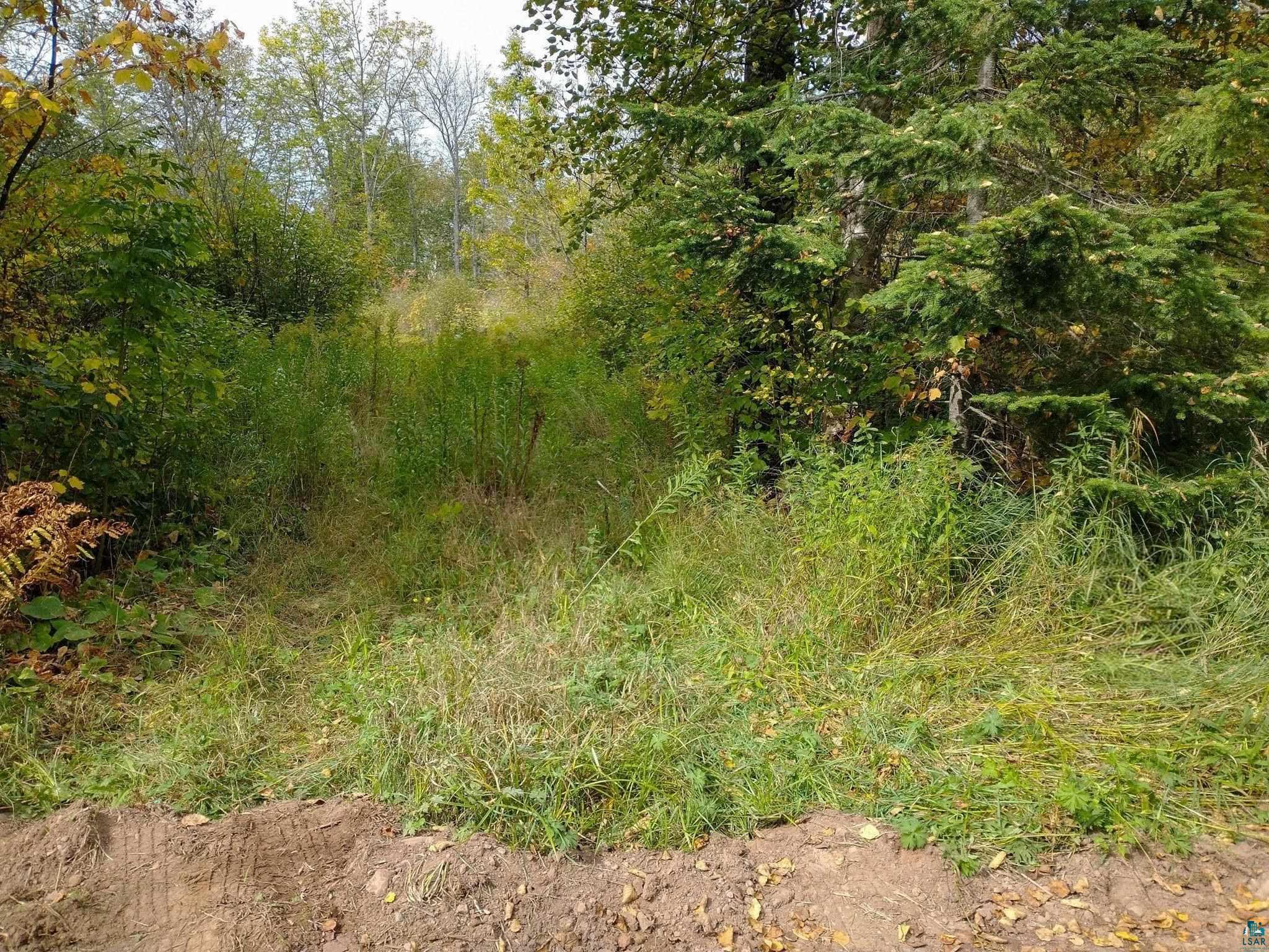 XYZ Caspers Hill Rd Grand Marais MN 55604 6126001 image3