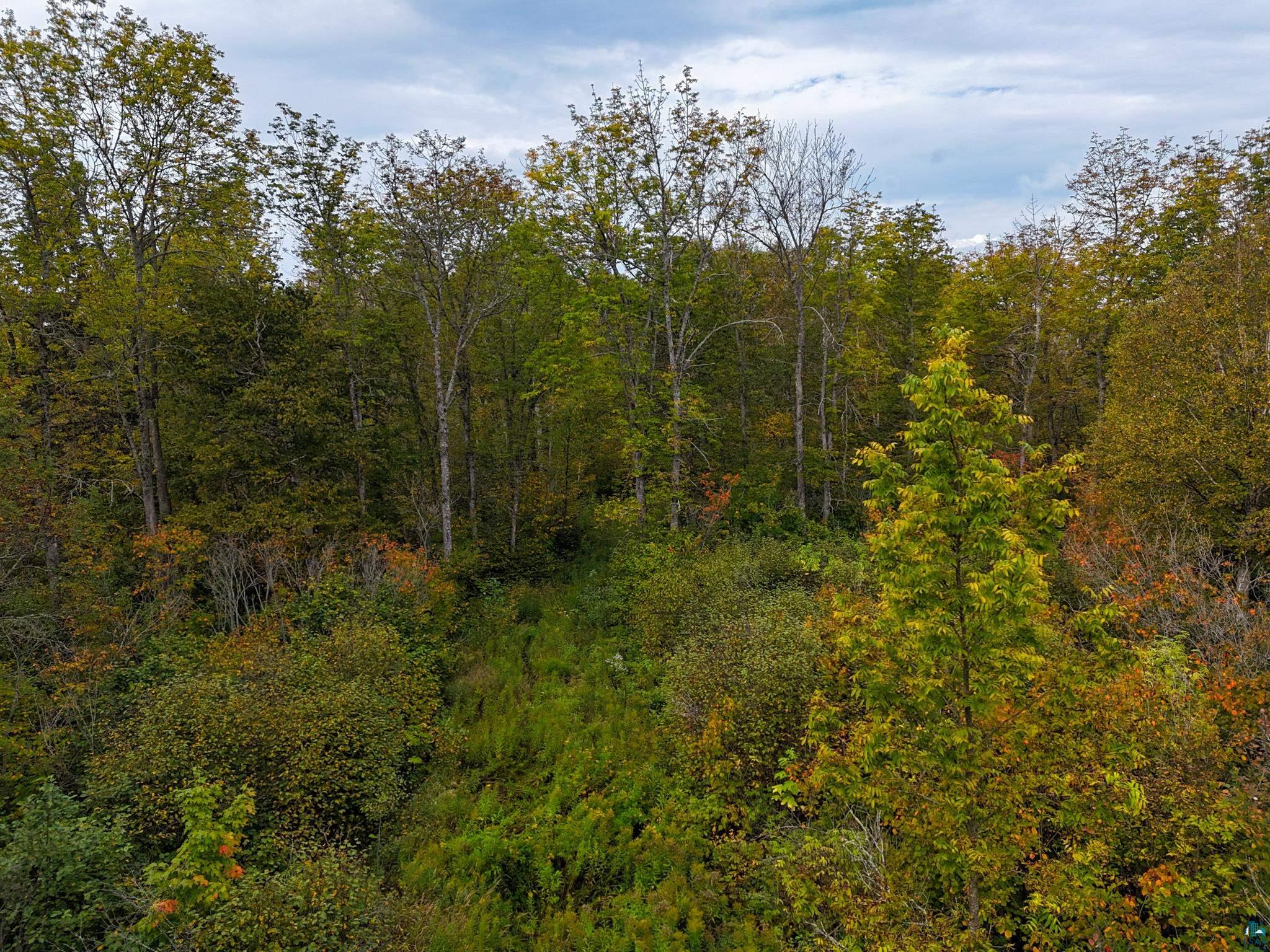 XYZ Caspers Hill Rd Grand Marais MN 55604 6126001 image7