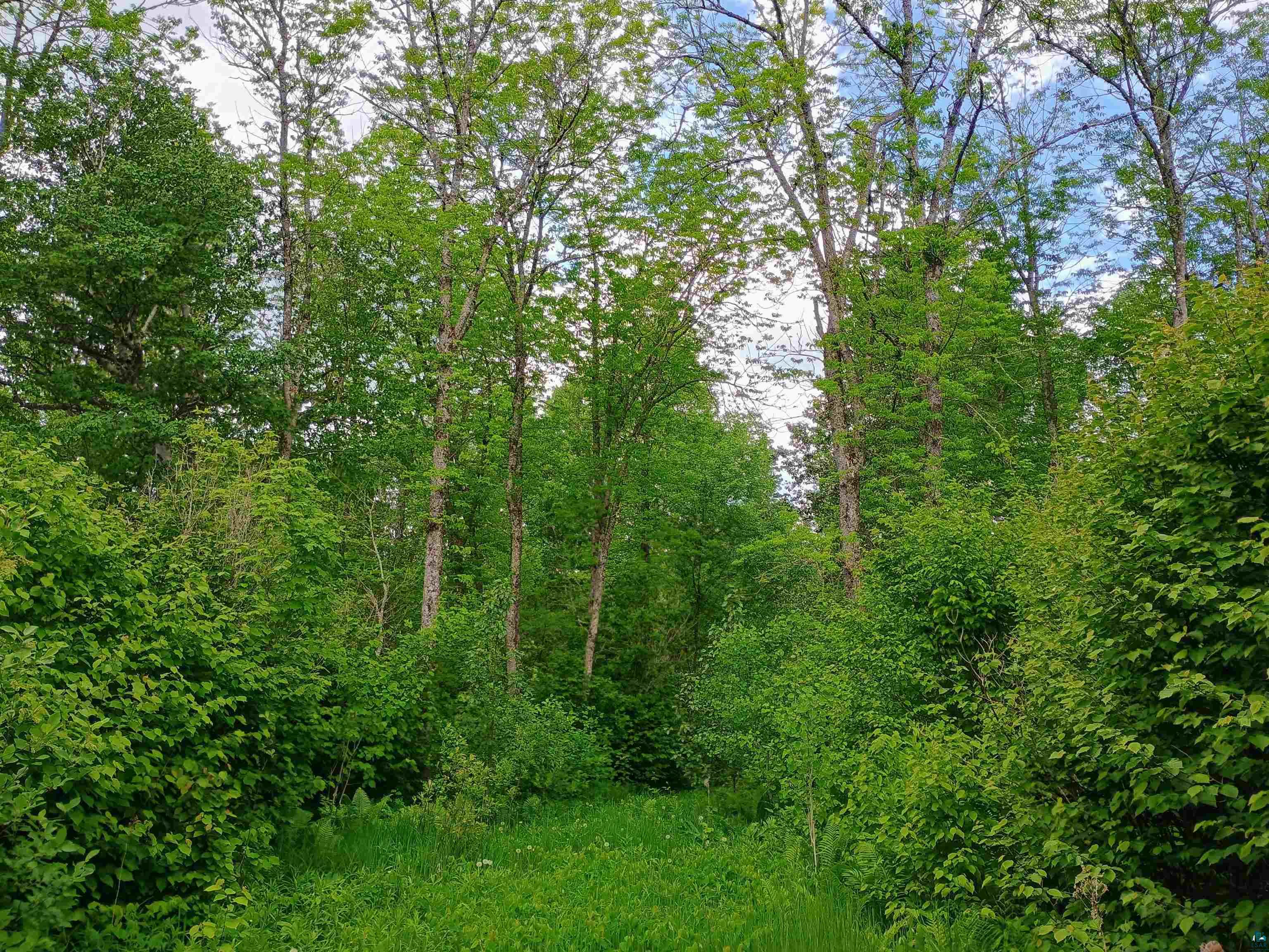 XYZ Caspers Hill Rd Grand Marais MN 55604 6126001 image9