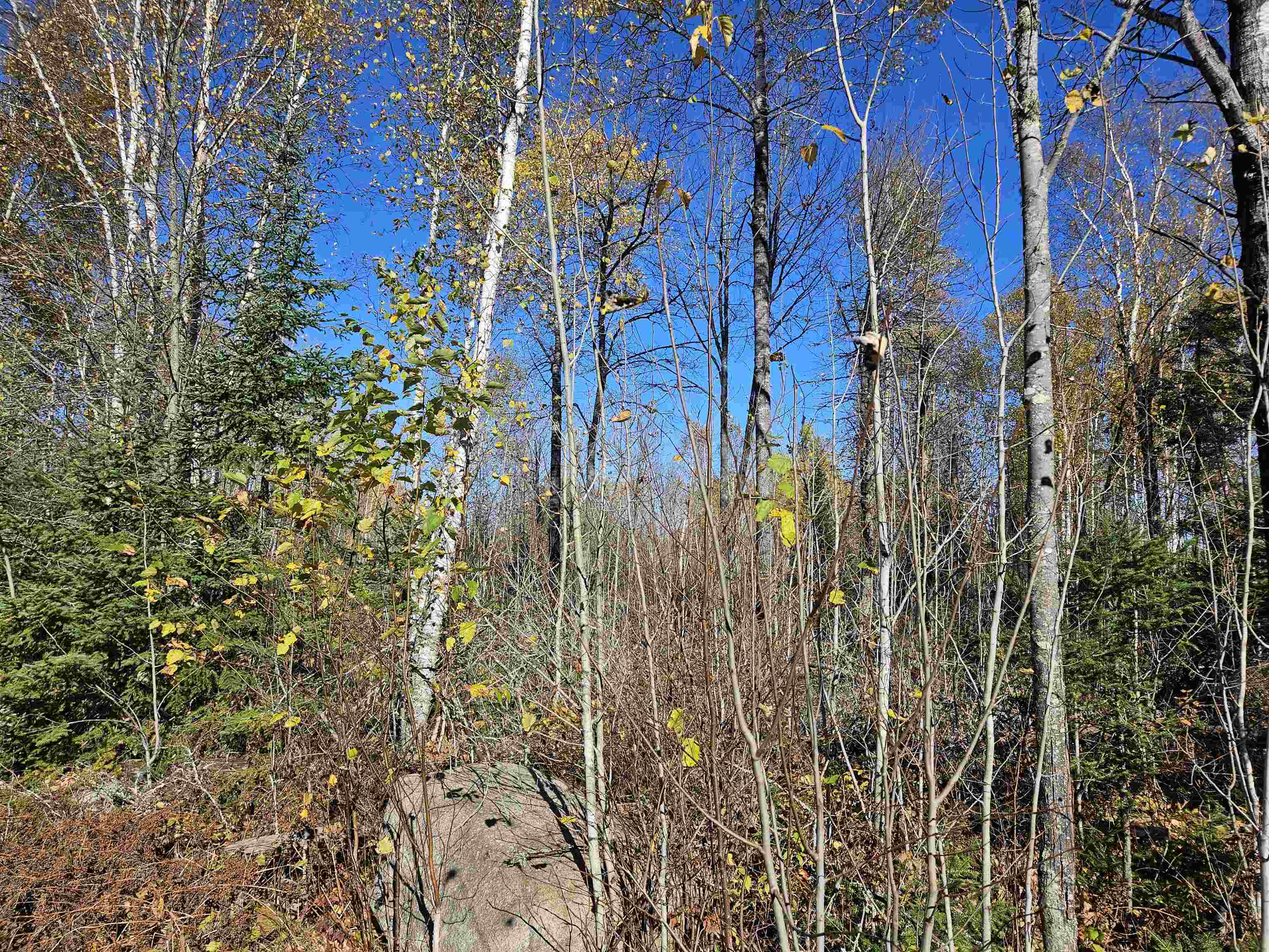 Xx Mattila Rd Virginia MN 55792 6122437 image1