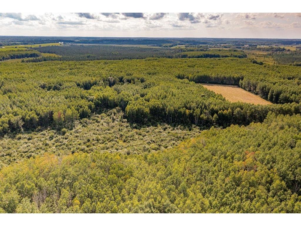 Xxxx Hwy 27 Kettle River MN 55757 - Kettle River 6121553 image10