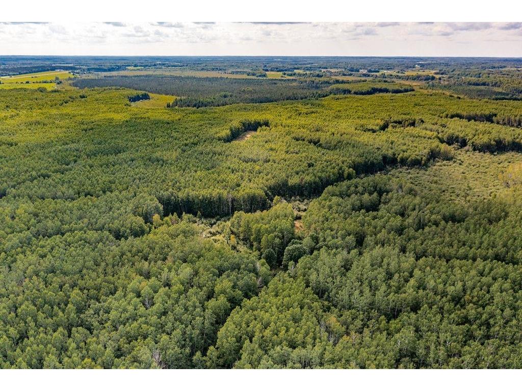 Xxxx Hwy 27 Kettle River MN 55757 - Kettle River 6121553 image18