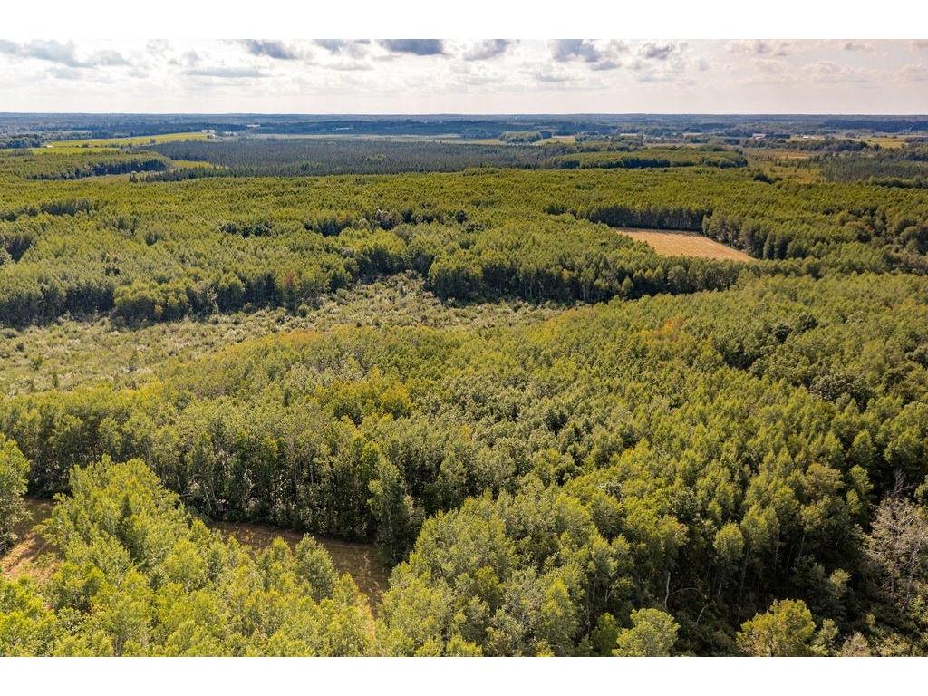 Xxxx Hwy 27 Kettle River MN 55757 - Kettle River 6121553 image22