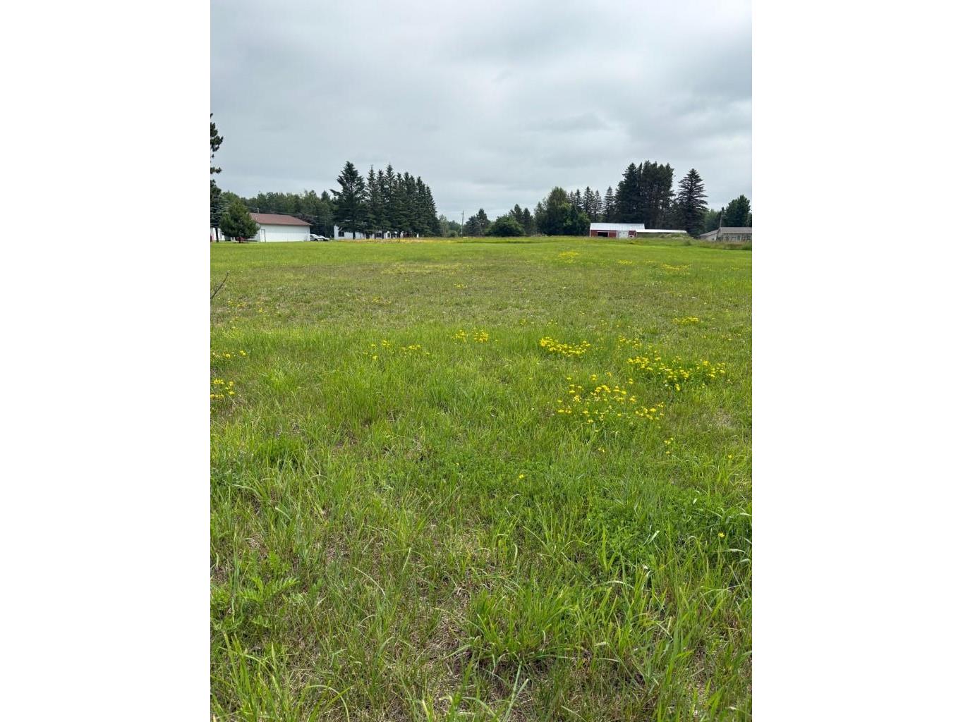 Xxxx Wrenshall St Wrenshall MN 55797 6118471 image1