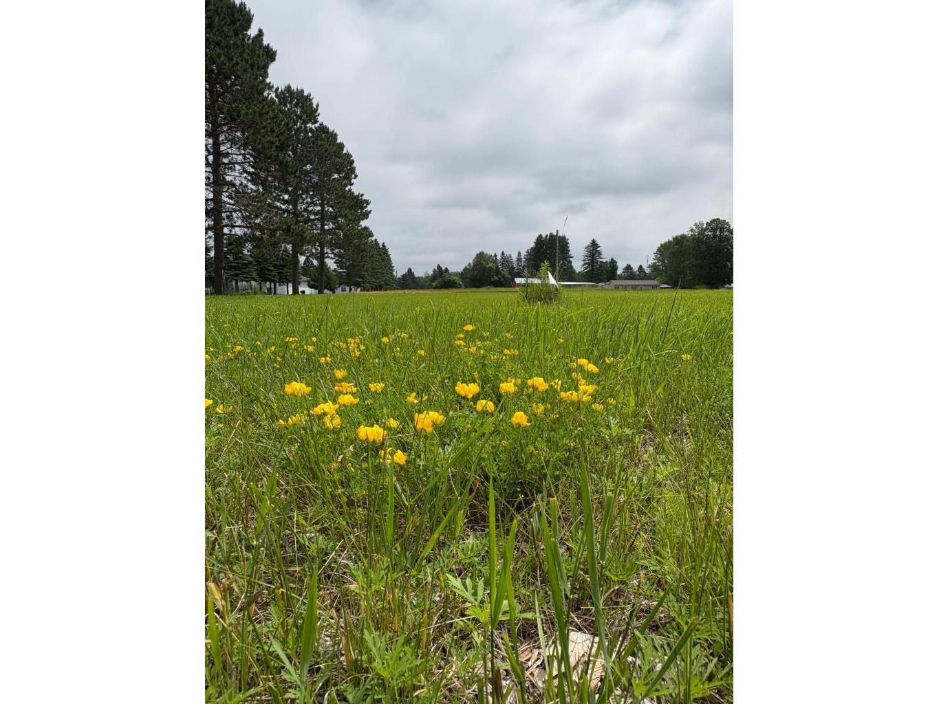 Xxxx Wrenshall St Wrenshall MN 55797 6118471 image2