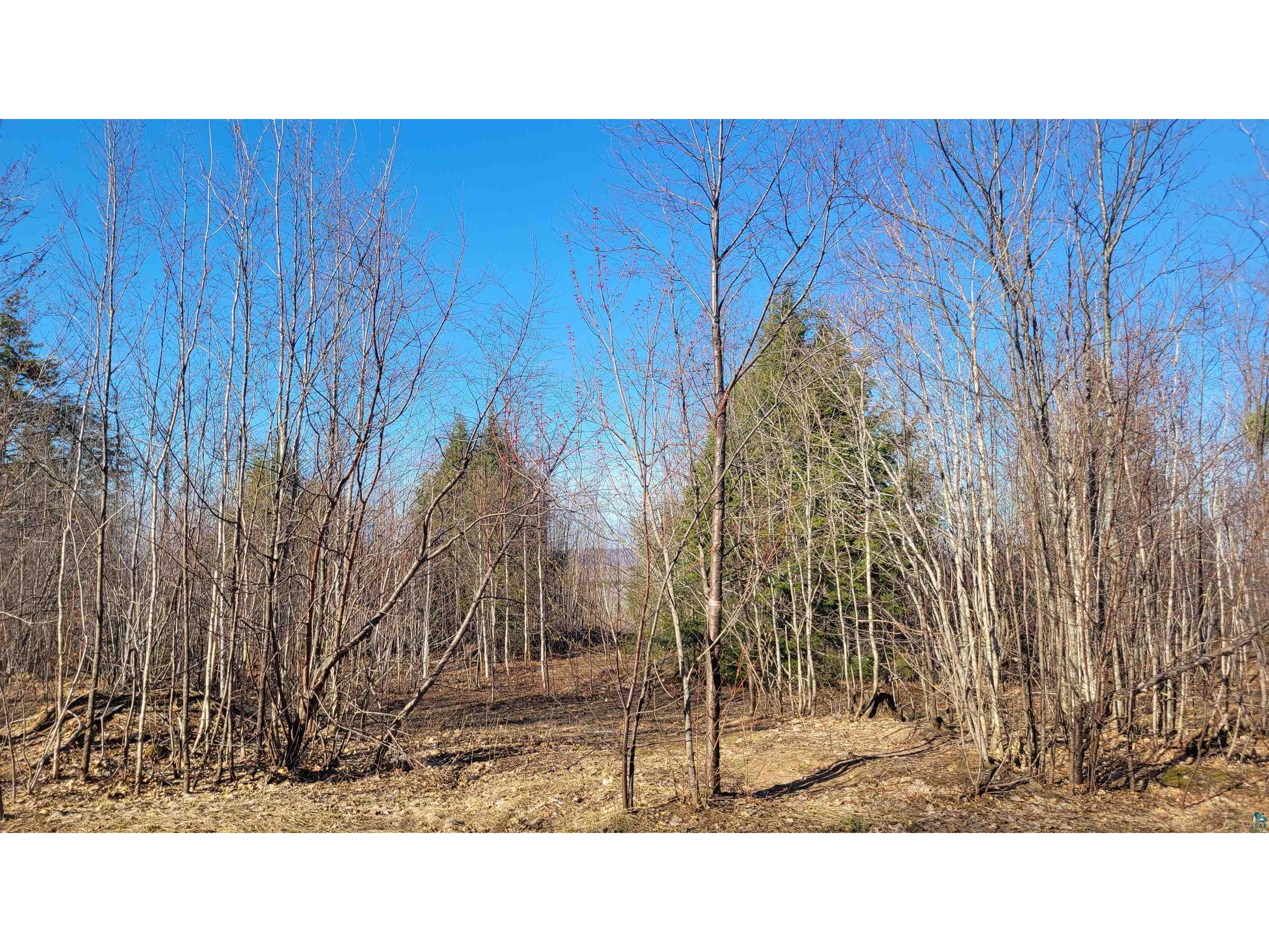 lot 2 Mariner Mile Bayfield WI 54814 6124940 image11