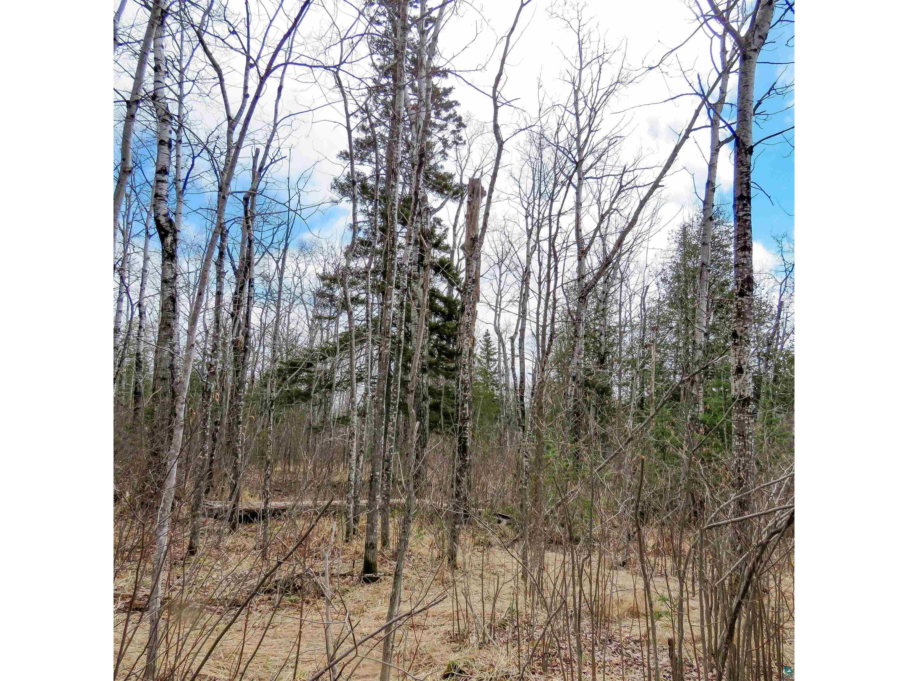 x48 Hansen-Hjemsted Rd Lutsen MN 55612 6119040 image1