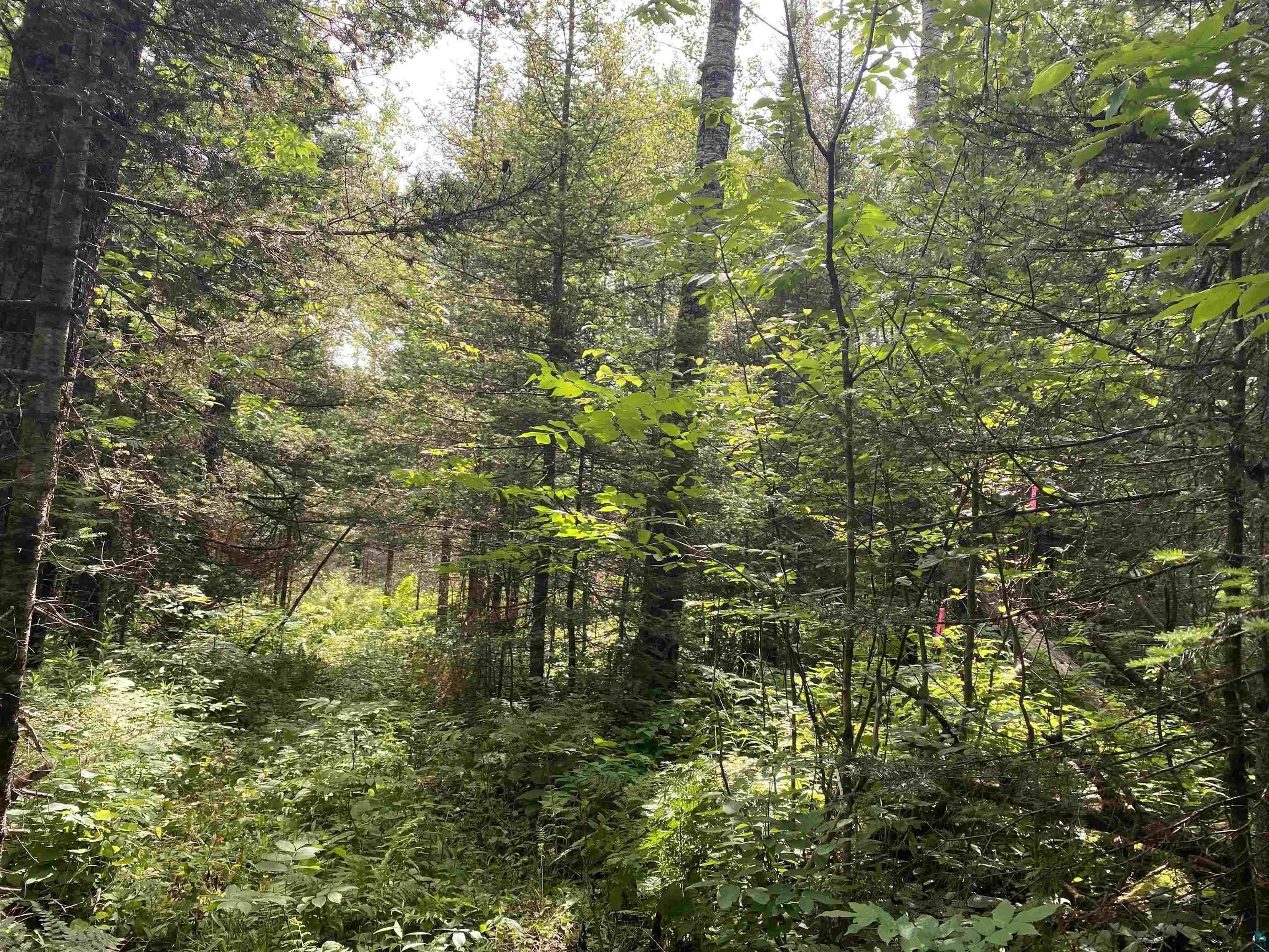 xx Arnold Rd, Duluth, MN, 55803 MLS 6104156 Edina Realty