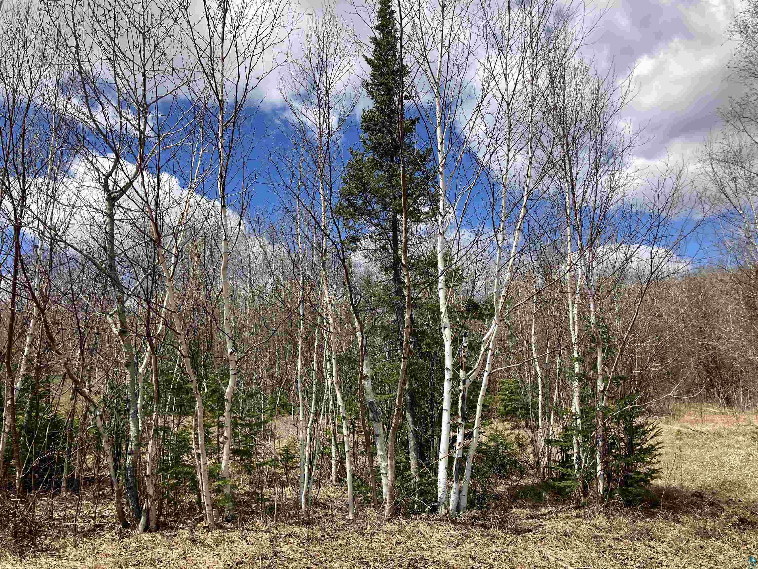 xx Quincy Dr Silver Bay MN 55614 6125195 image11